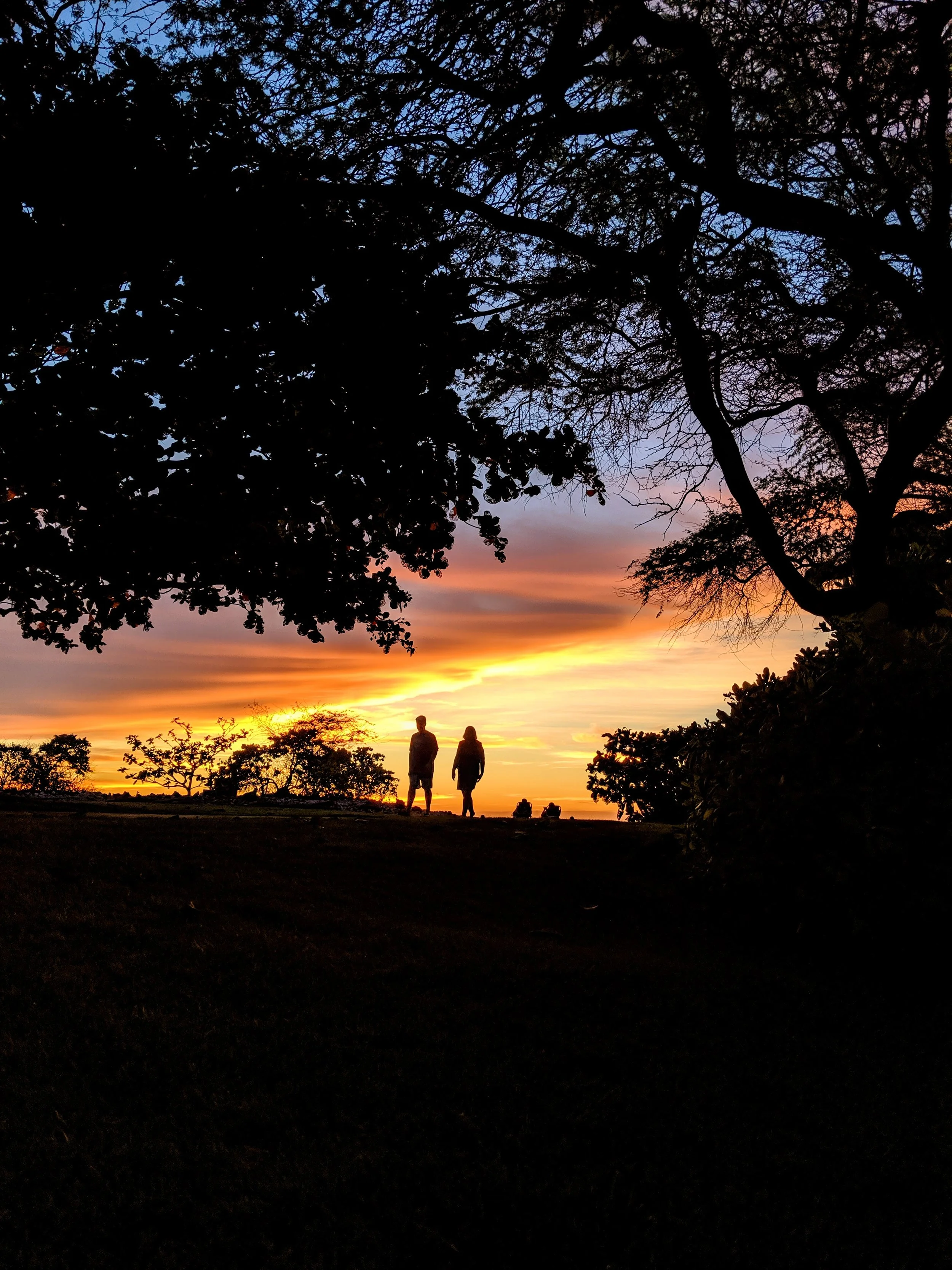 I Love your Silhouette - Geoff Rhodes (39).jpg