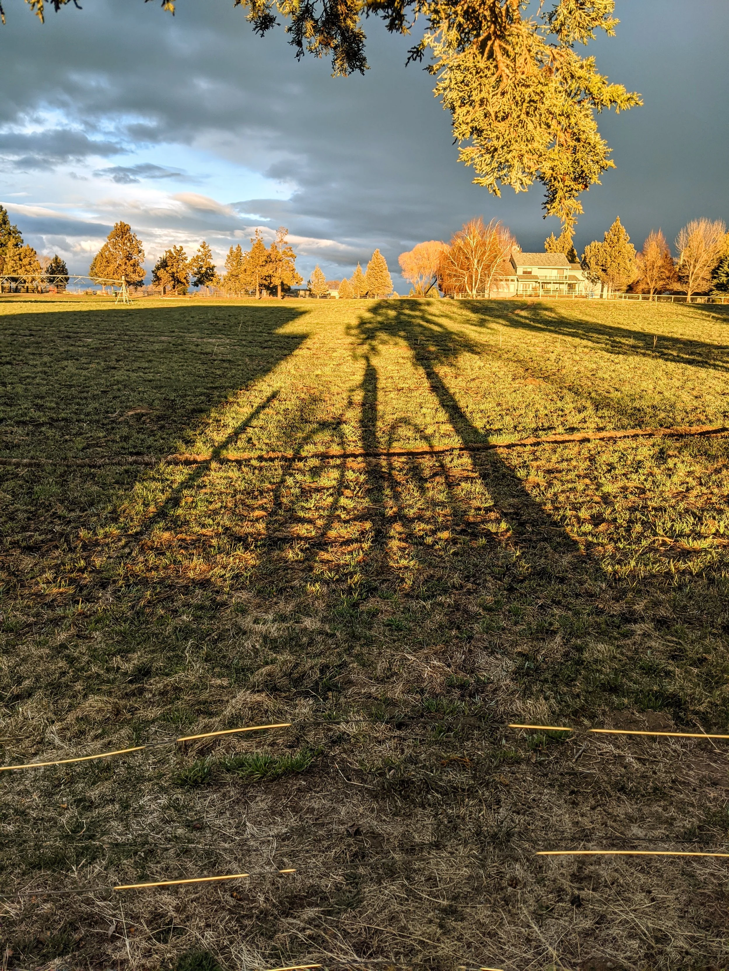 Shadow Games - Geoff Rhodes (28).jpg