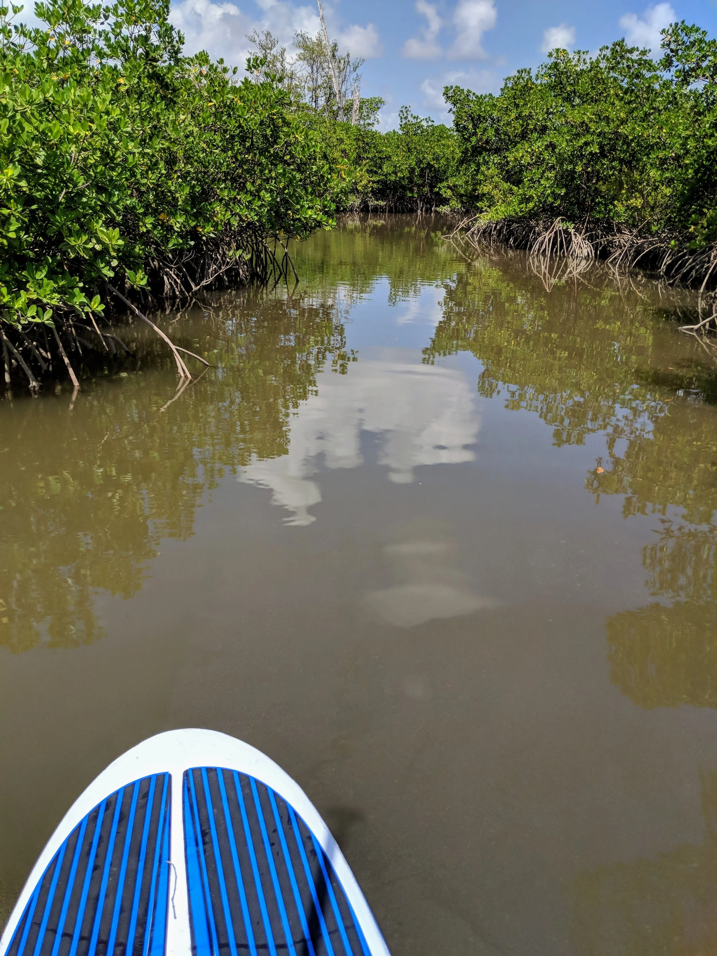 Just the Tip - SUP - Other (3).jpg