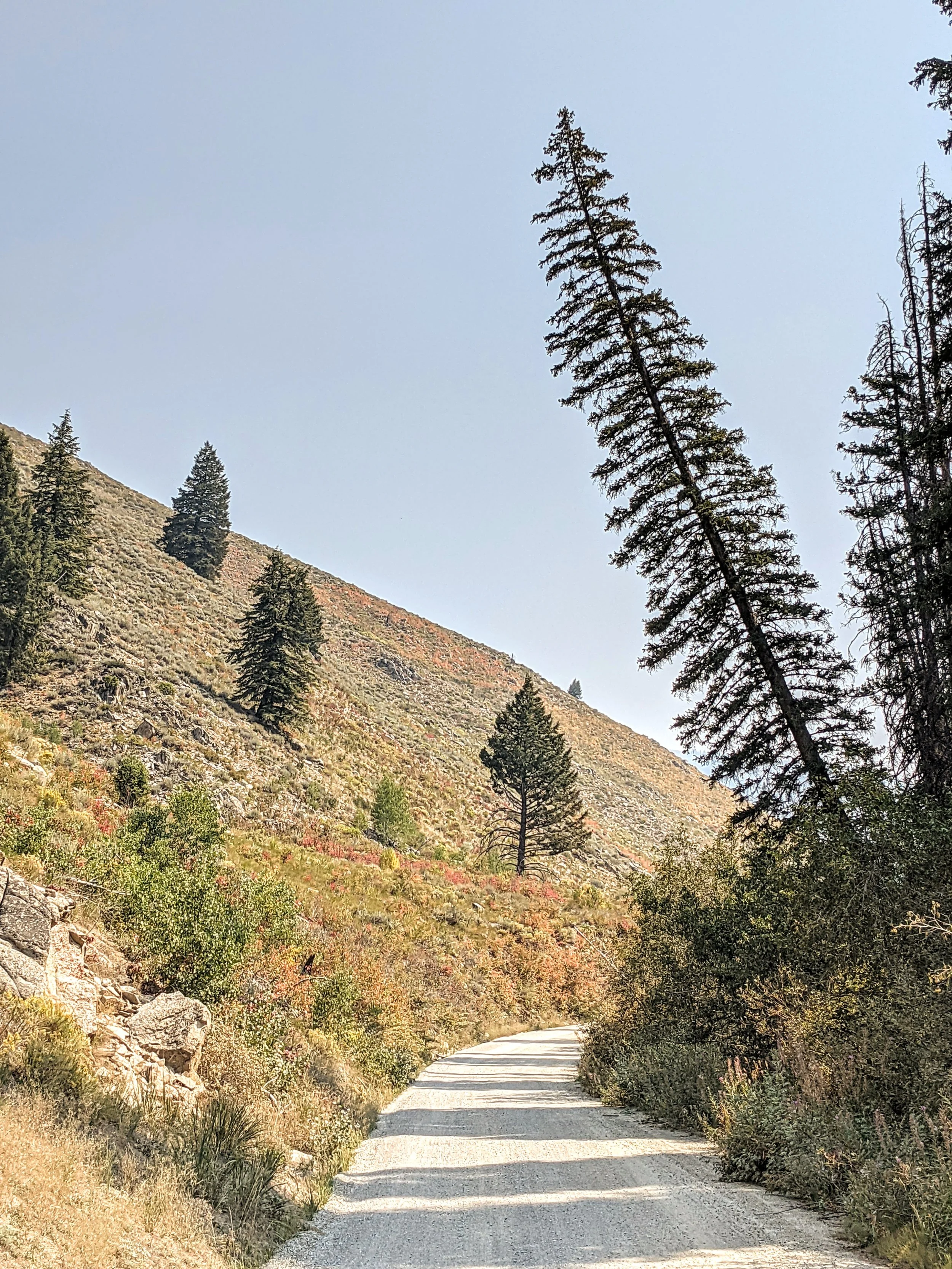 Path to Enlightenment - Geoff Rhodes (21).jpg