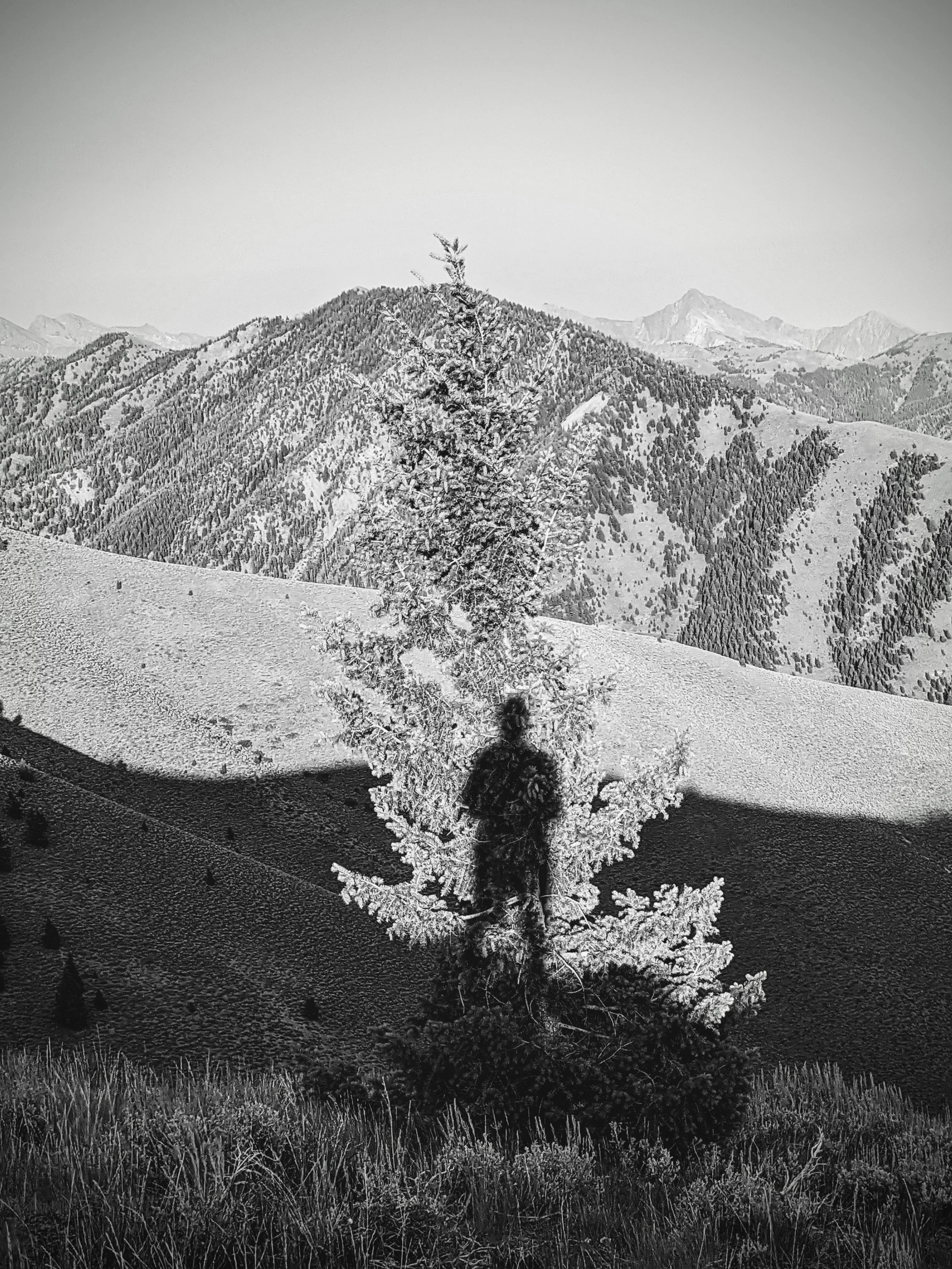 Shadow Games - Geoff Rhodes (51).jpg