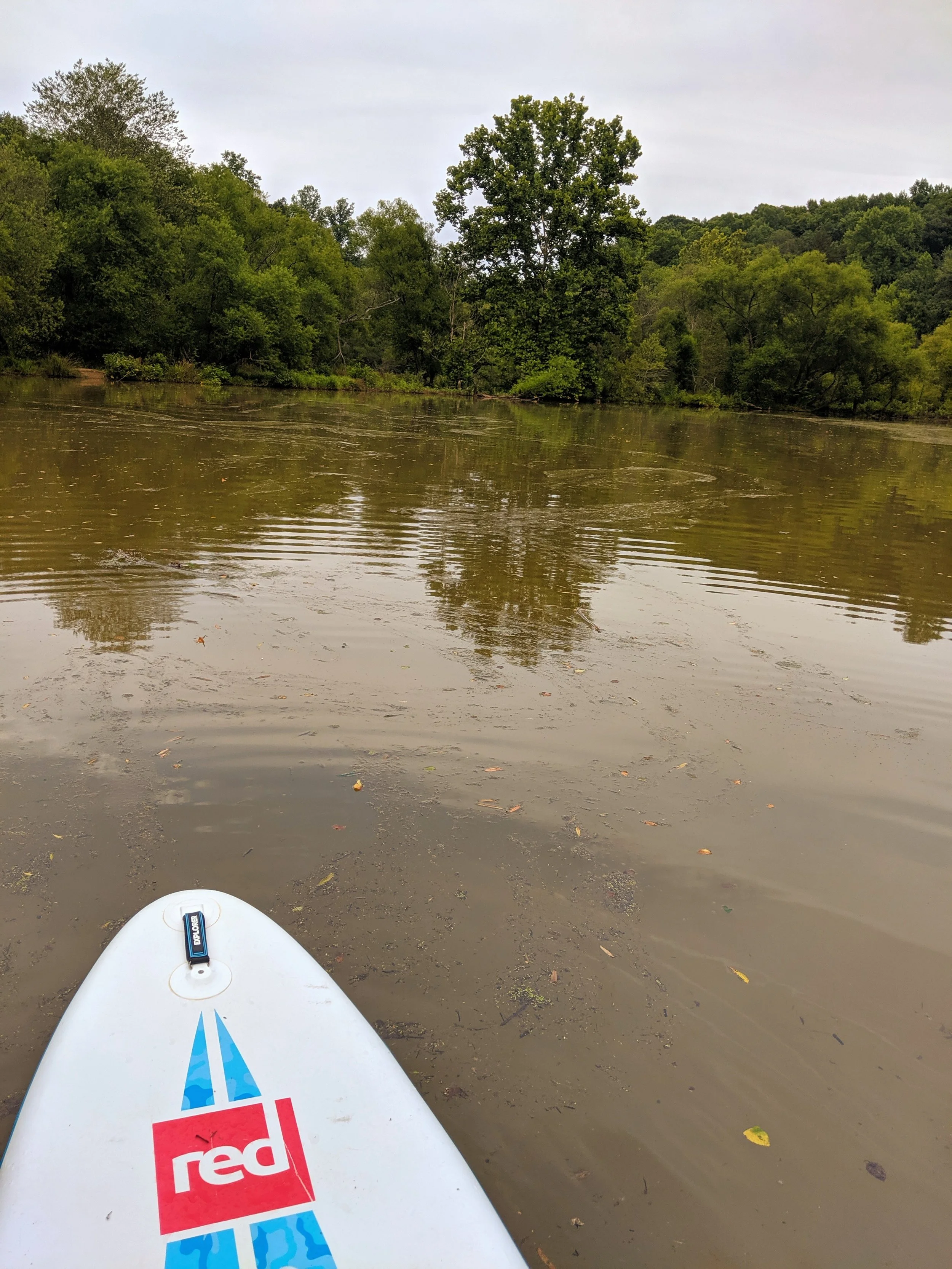 Just the Tip - SUP - Red (12).jpg