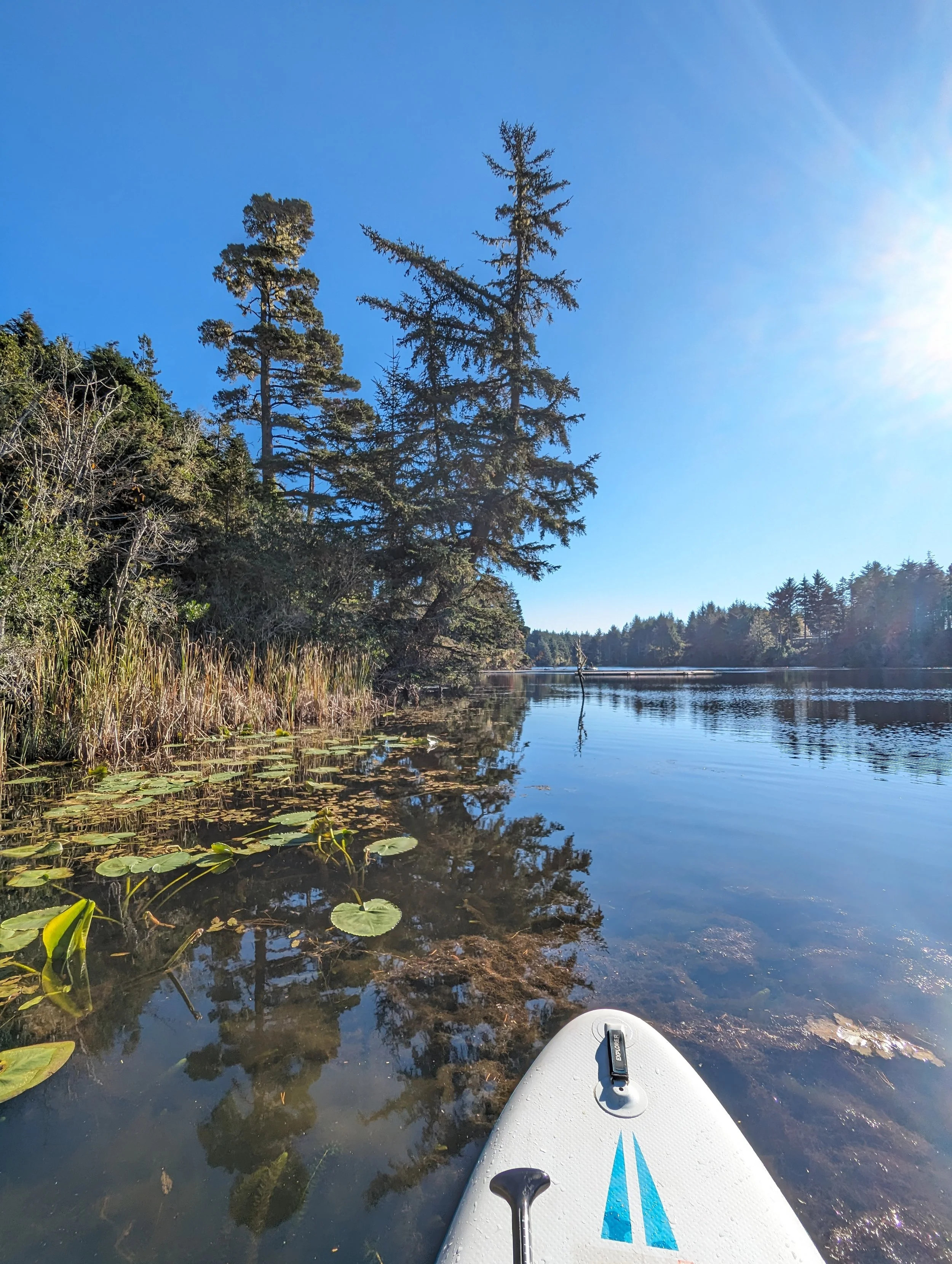 Just the Tip - SUP - Red (43).jpg