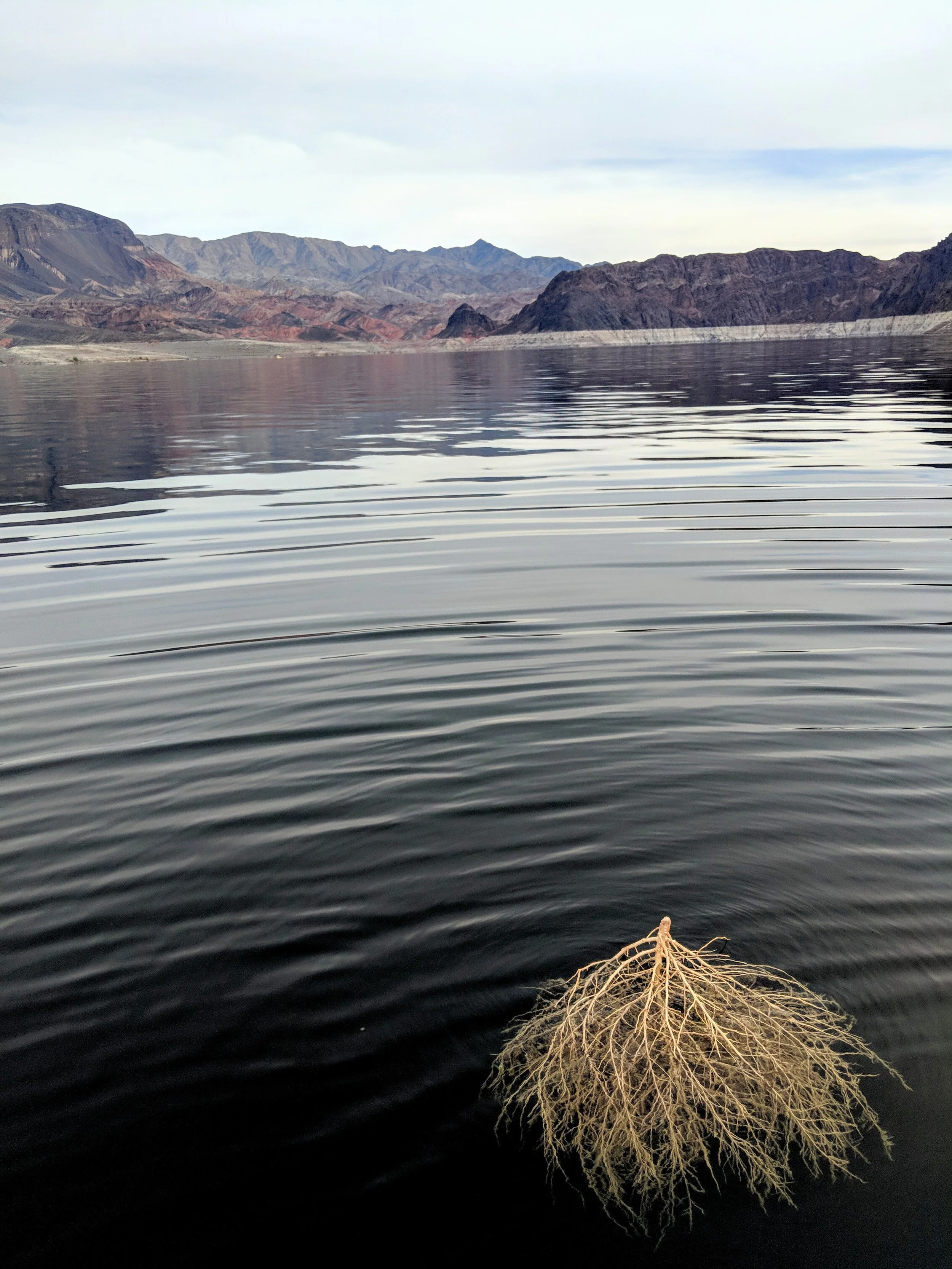 Desert Solitude - Exploration - Geoff Rhodes (28).jpg