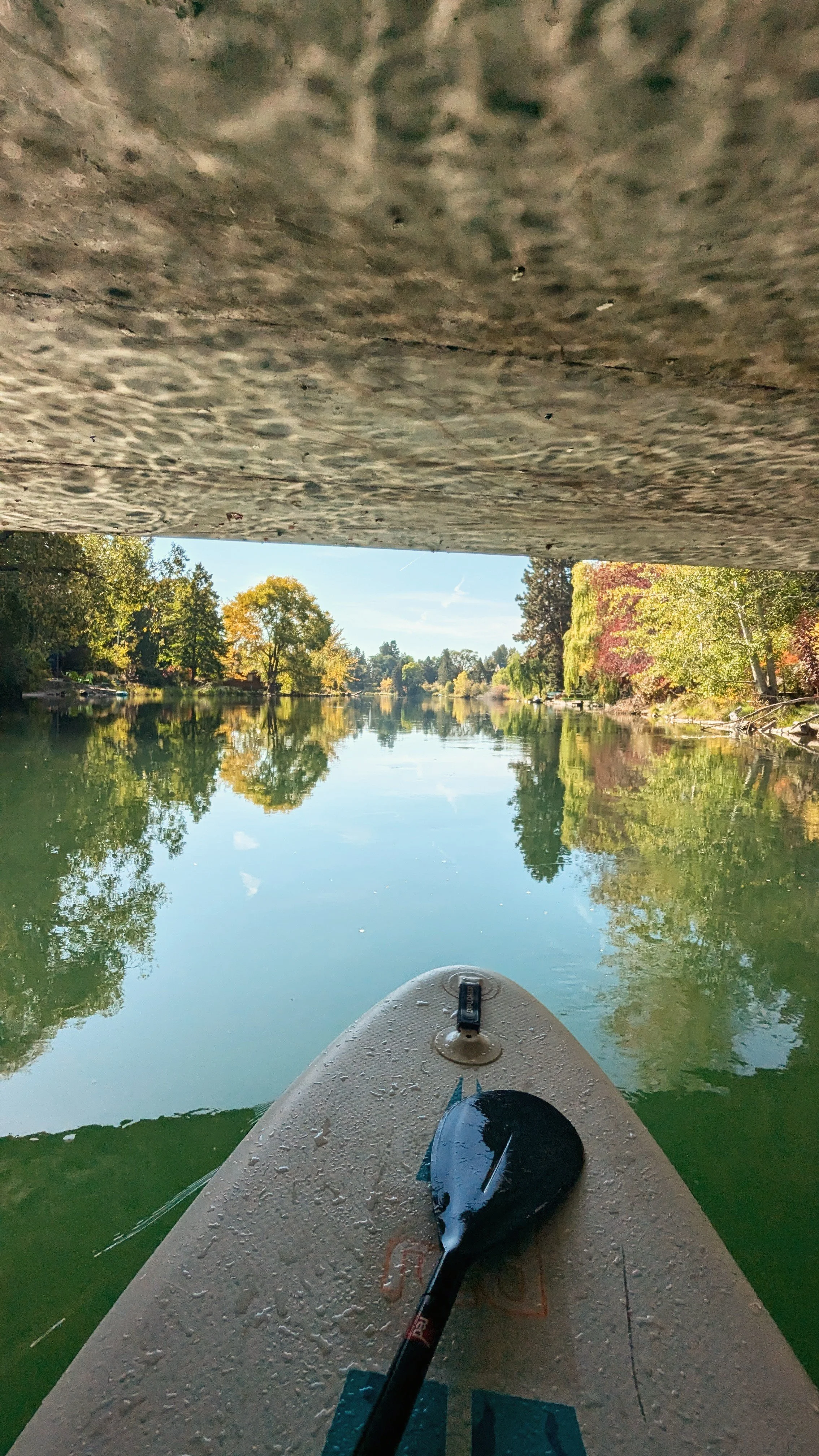 Just the Tip - SUP - Red (49).jpg