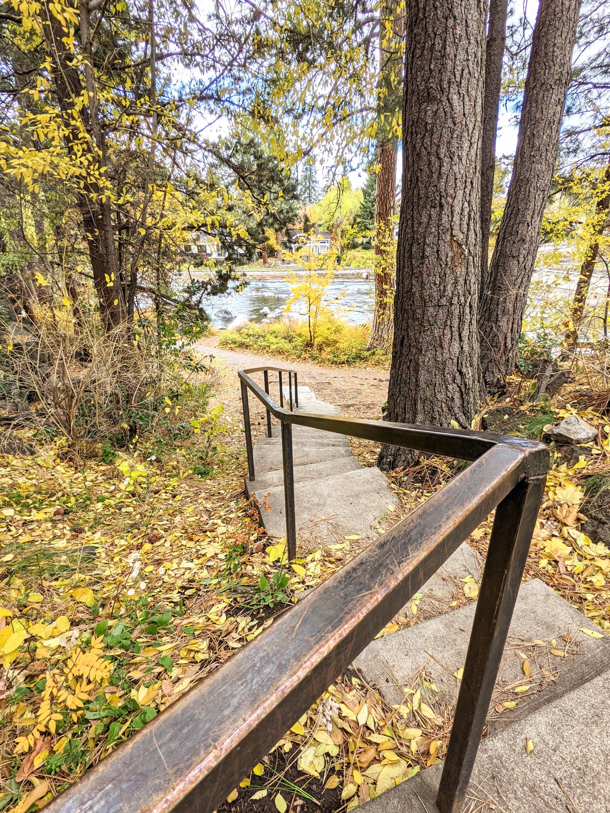 Path to Enlightenment - Geoff Rhodes (1).jpg