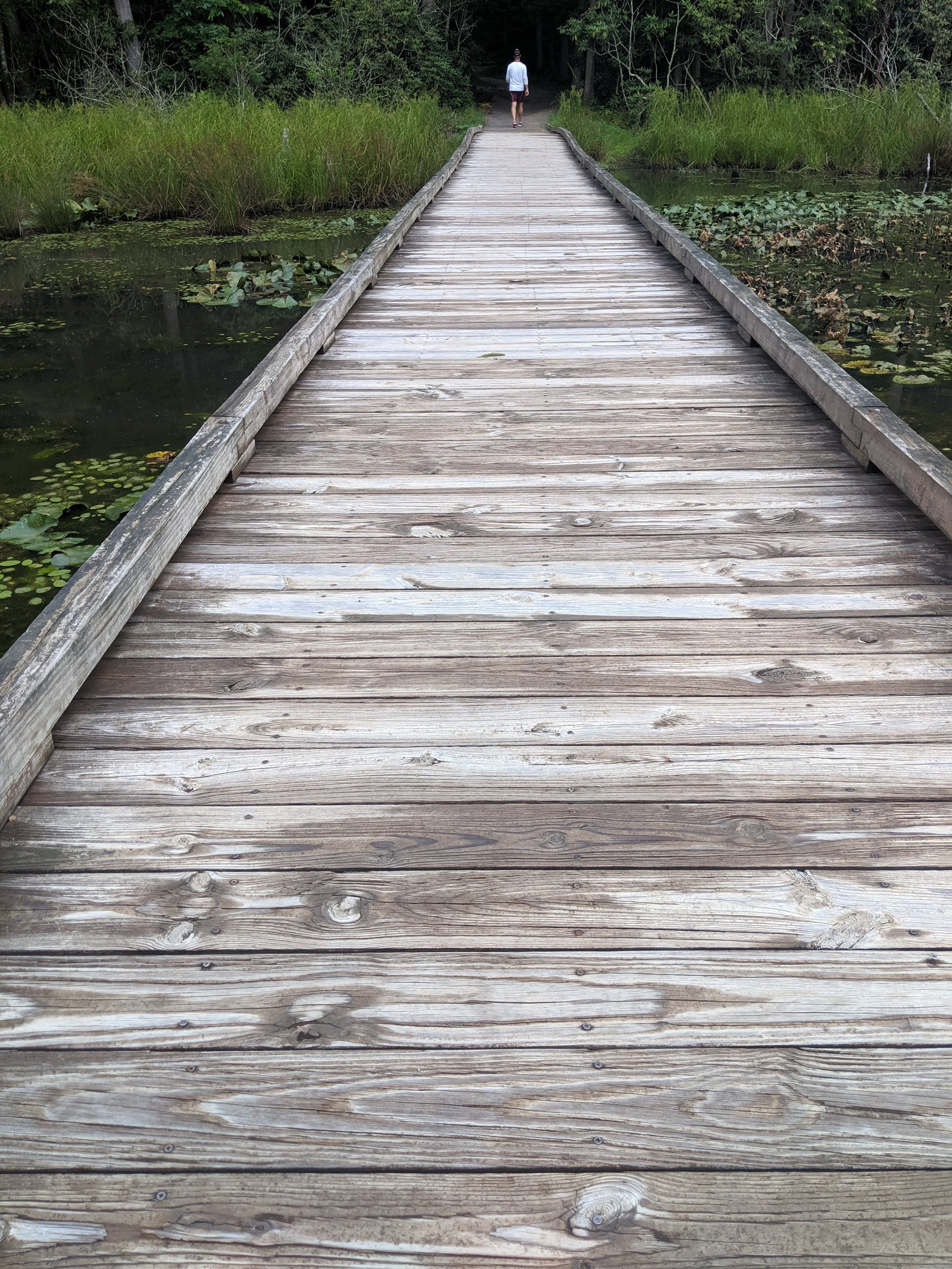 Path to Enlightenment - Geoff Rhodes (24).jpg