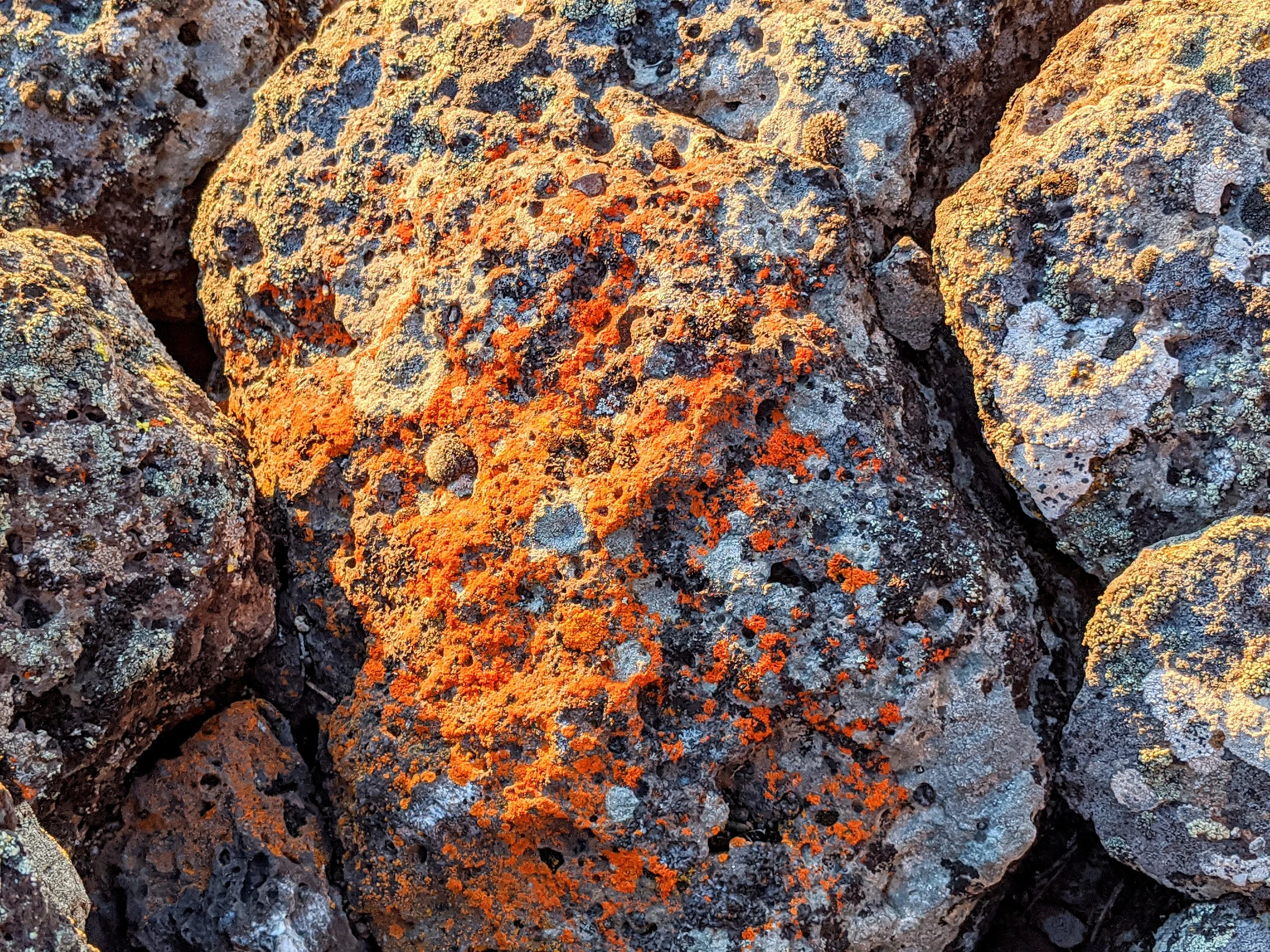 Desert Solitude - Exploration - Geoff Rhodes (34).jpg