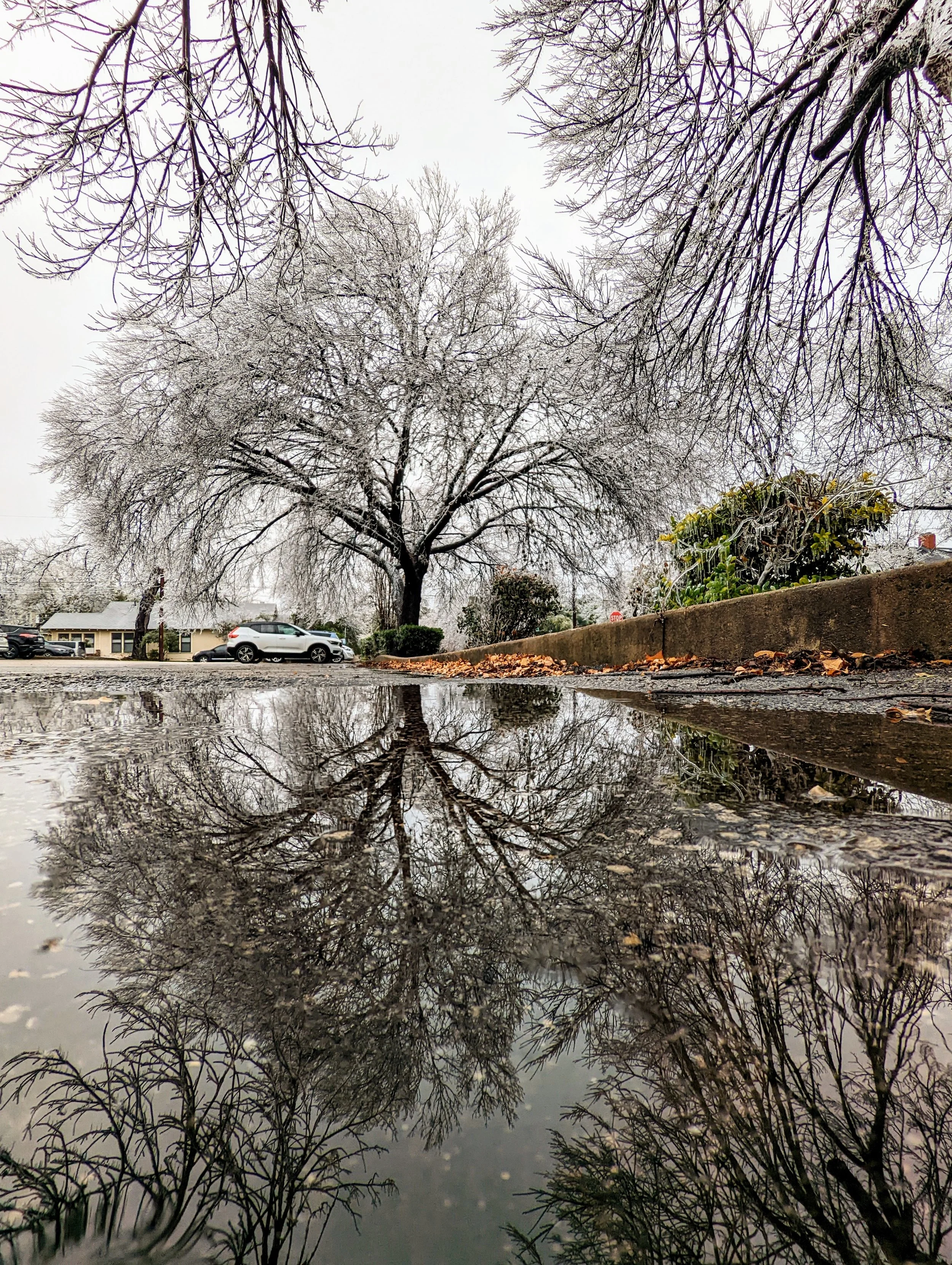 The World Around Me - Geoff Rhodes  (38).jpg