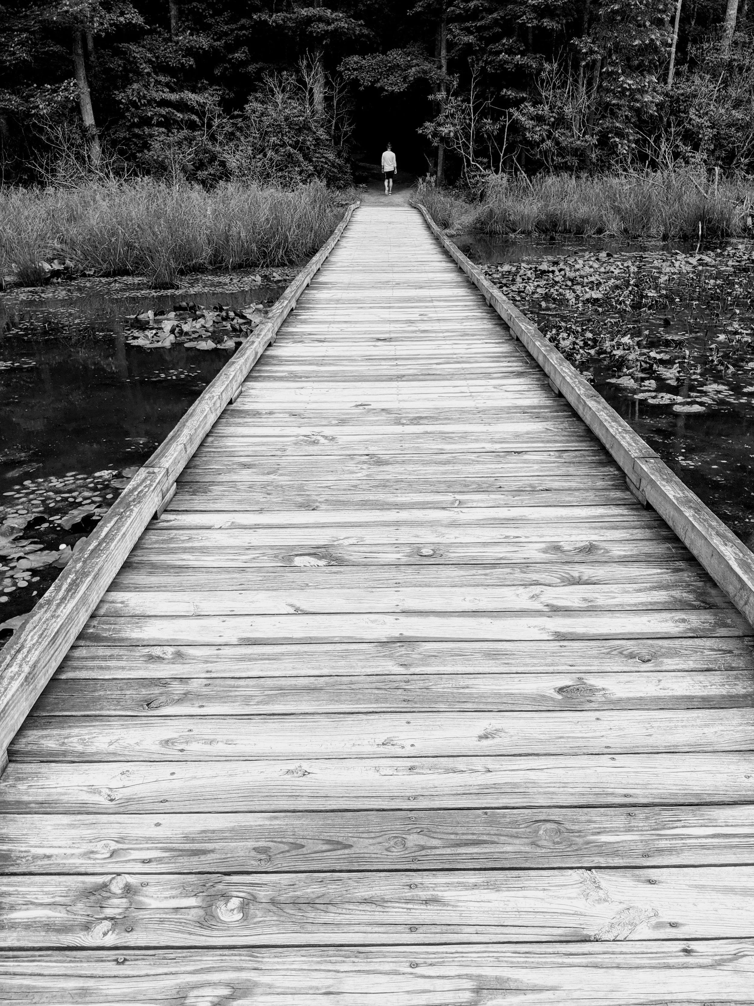 Composition - Geoff Rhodes (15).jpg