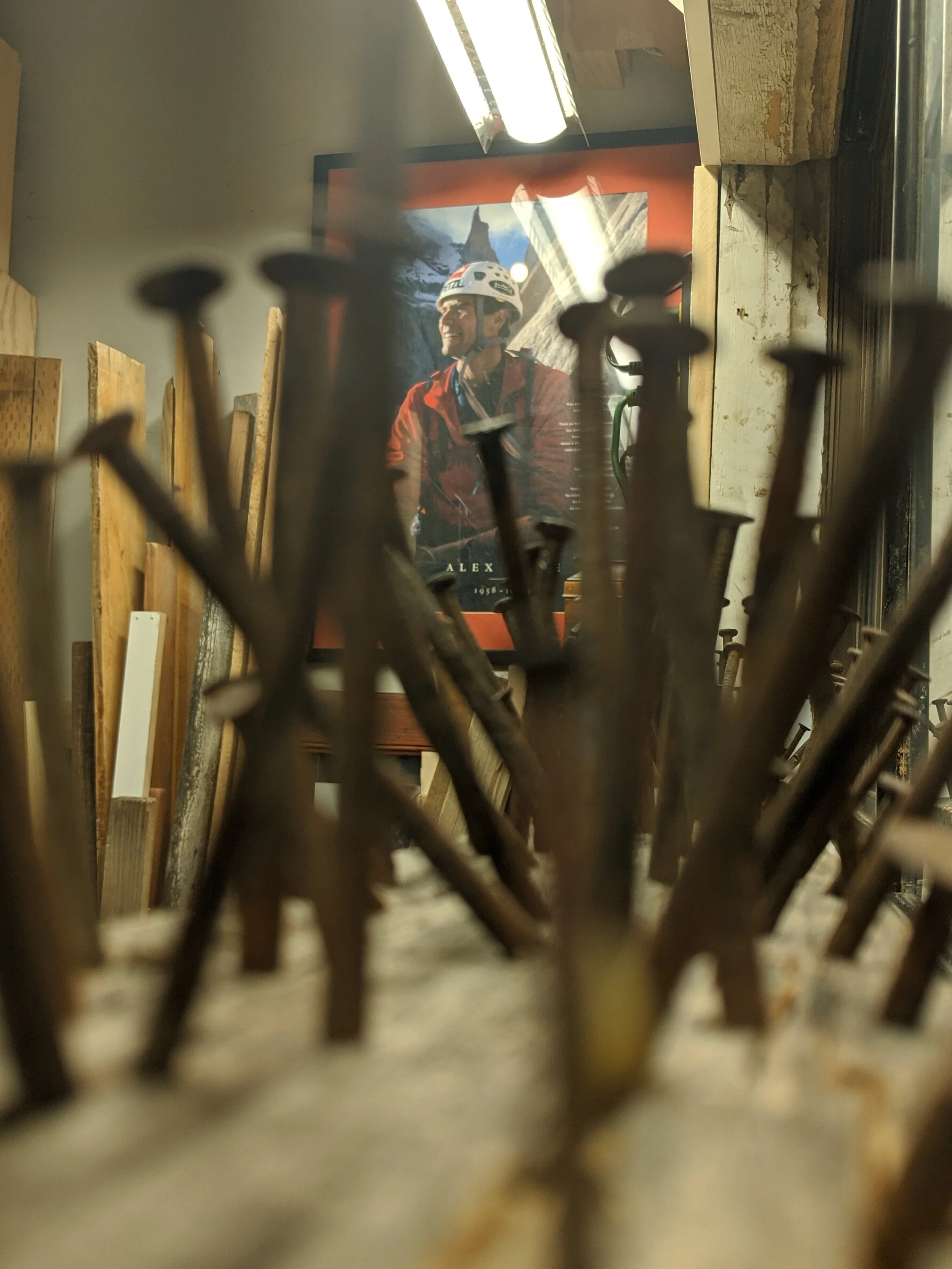 The World Around Me - Geoff Rhodes  (6).jpg