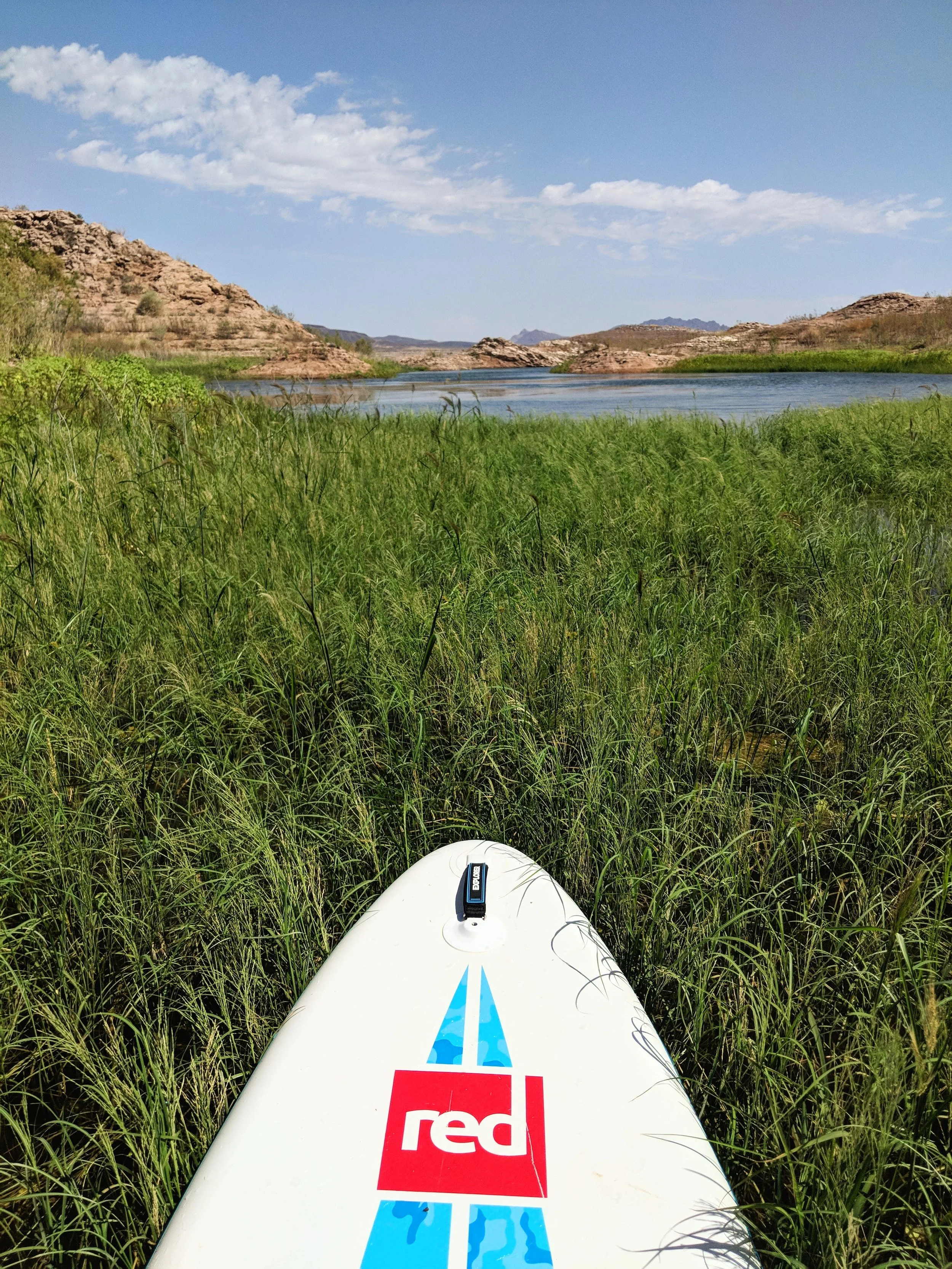 Just the Tip - SUP - Red (4).jpg