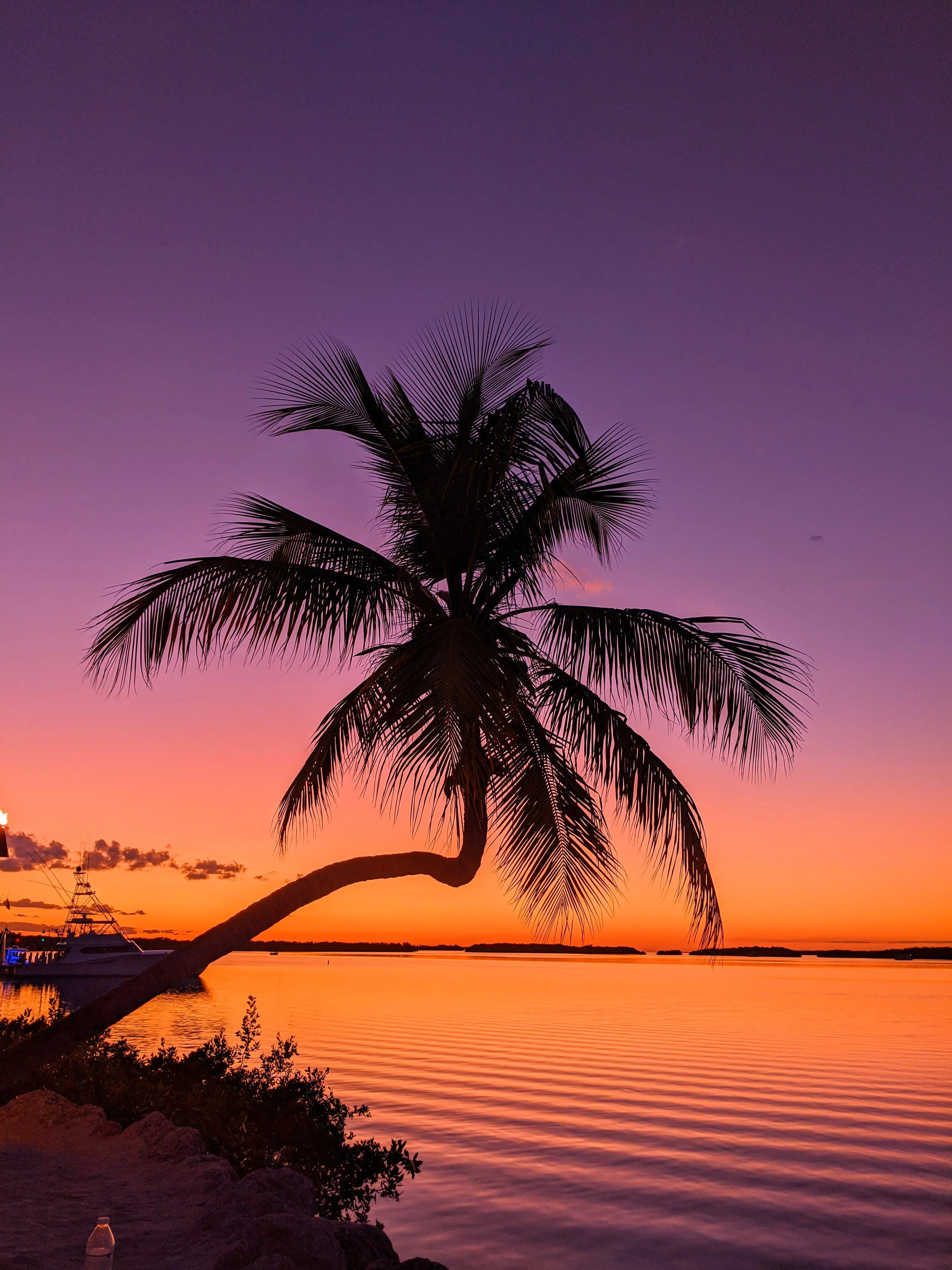 I Love your Silhouette - Geoff Rhodes (21).jpg