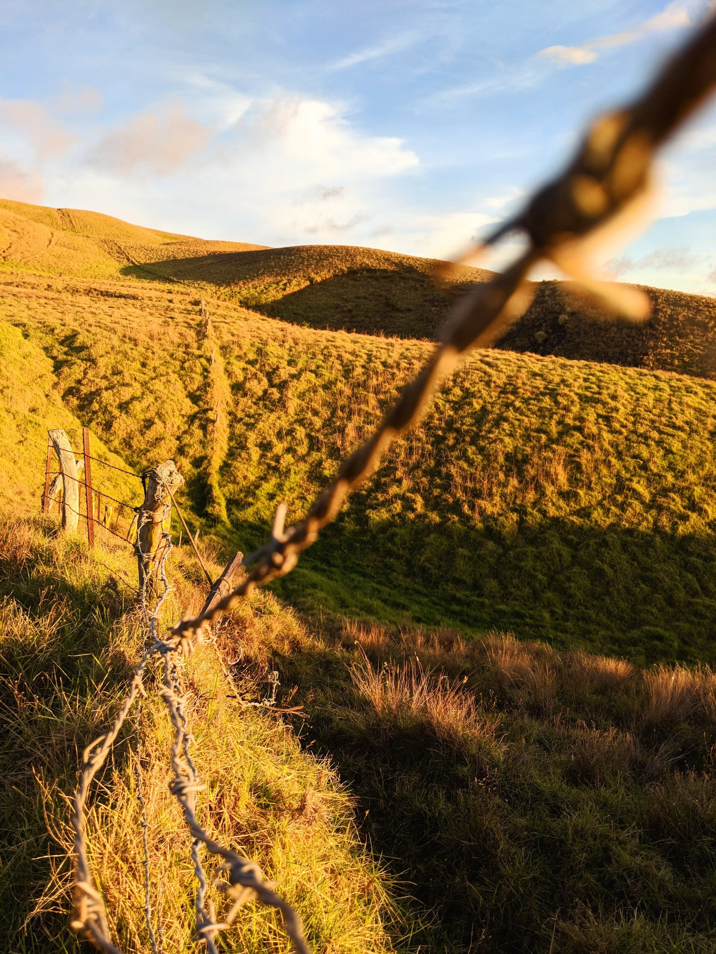 Fence Post Porn - Geoff Rhodes (13).jpg