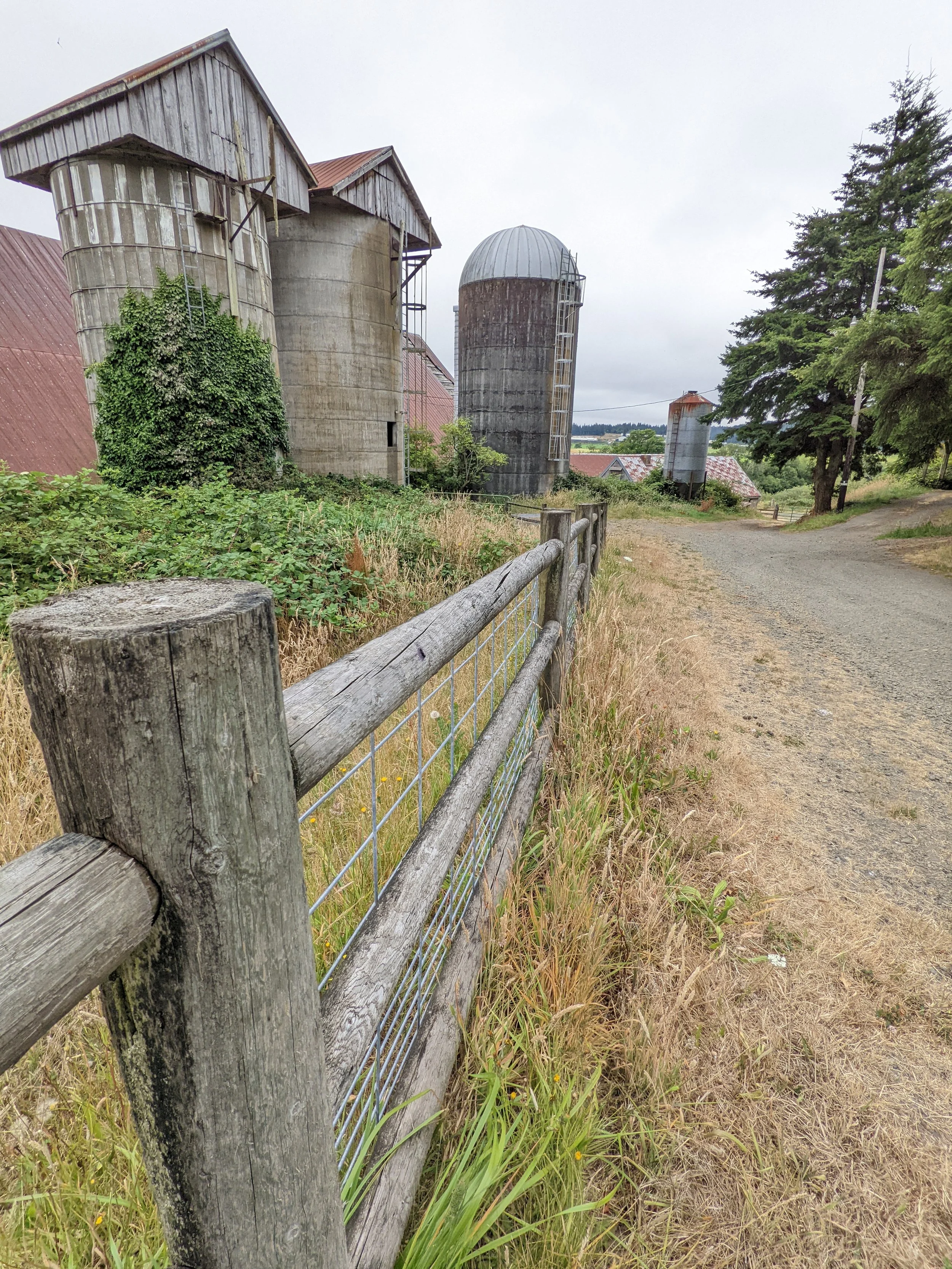 Fence Post Porn - Geoff Rhodes (37).jpg