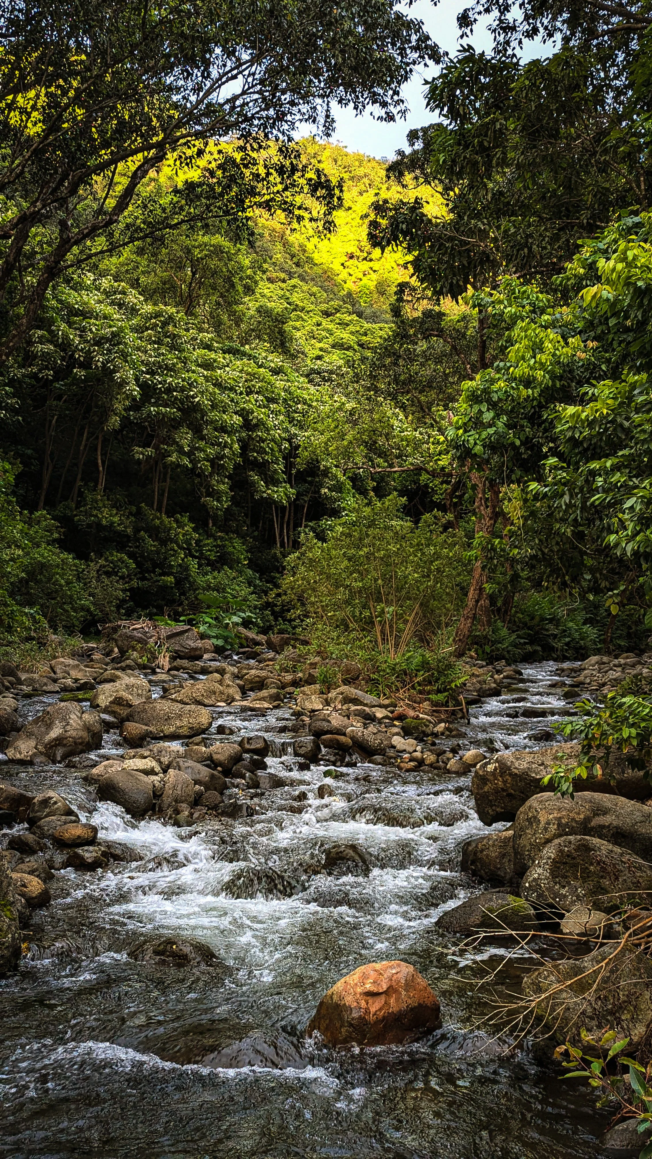 Hawaii - Geoff Rhodes - Ridgeline Creative (17).jpg
