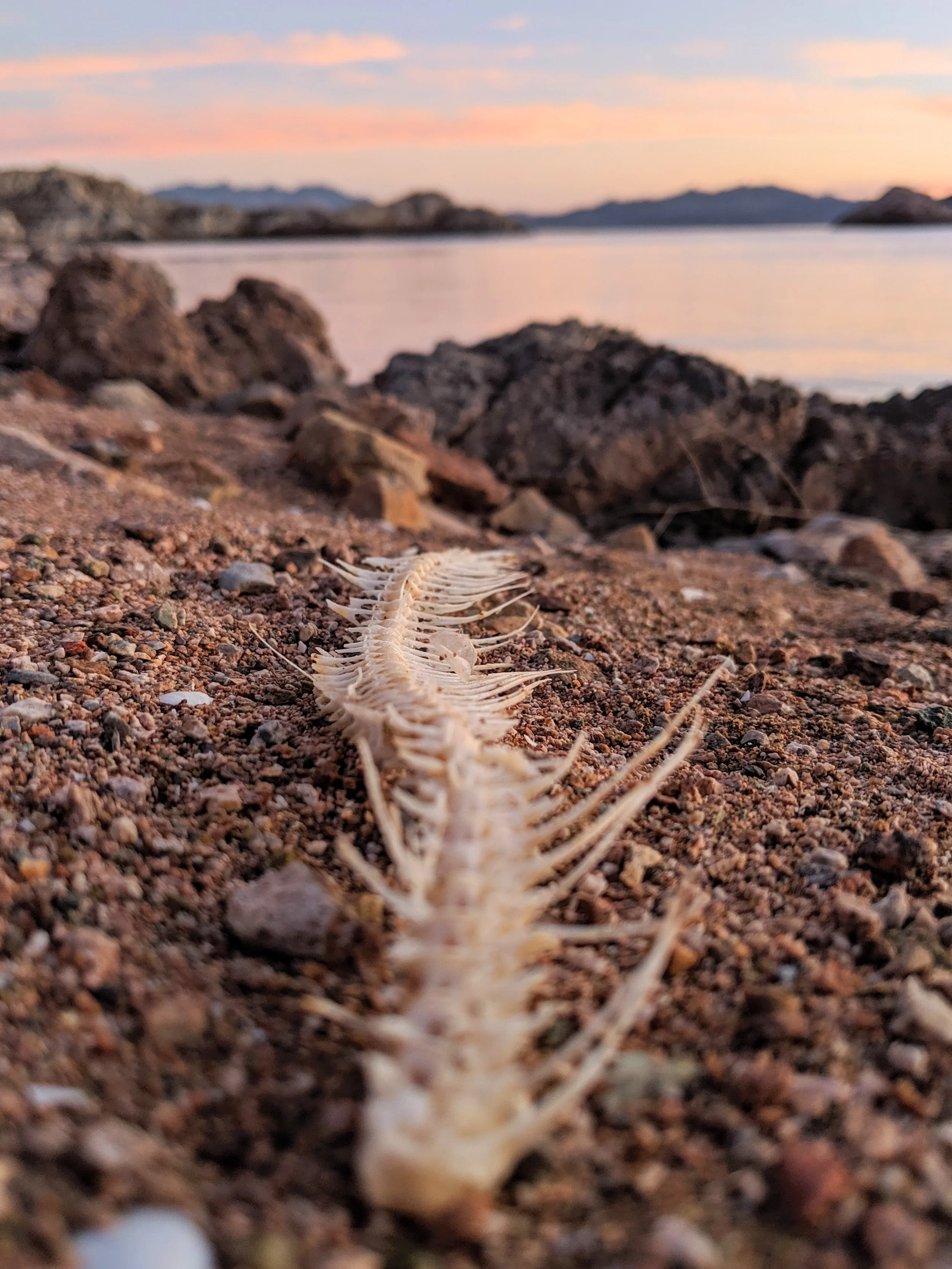 Desert Solitude - Exploration - Geoff Rhodes (6).jpg