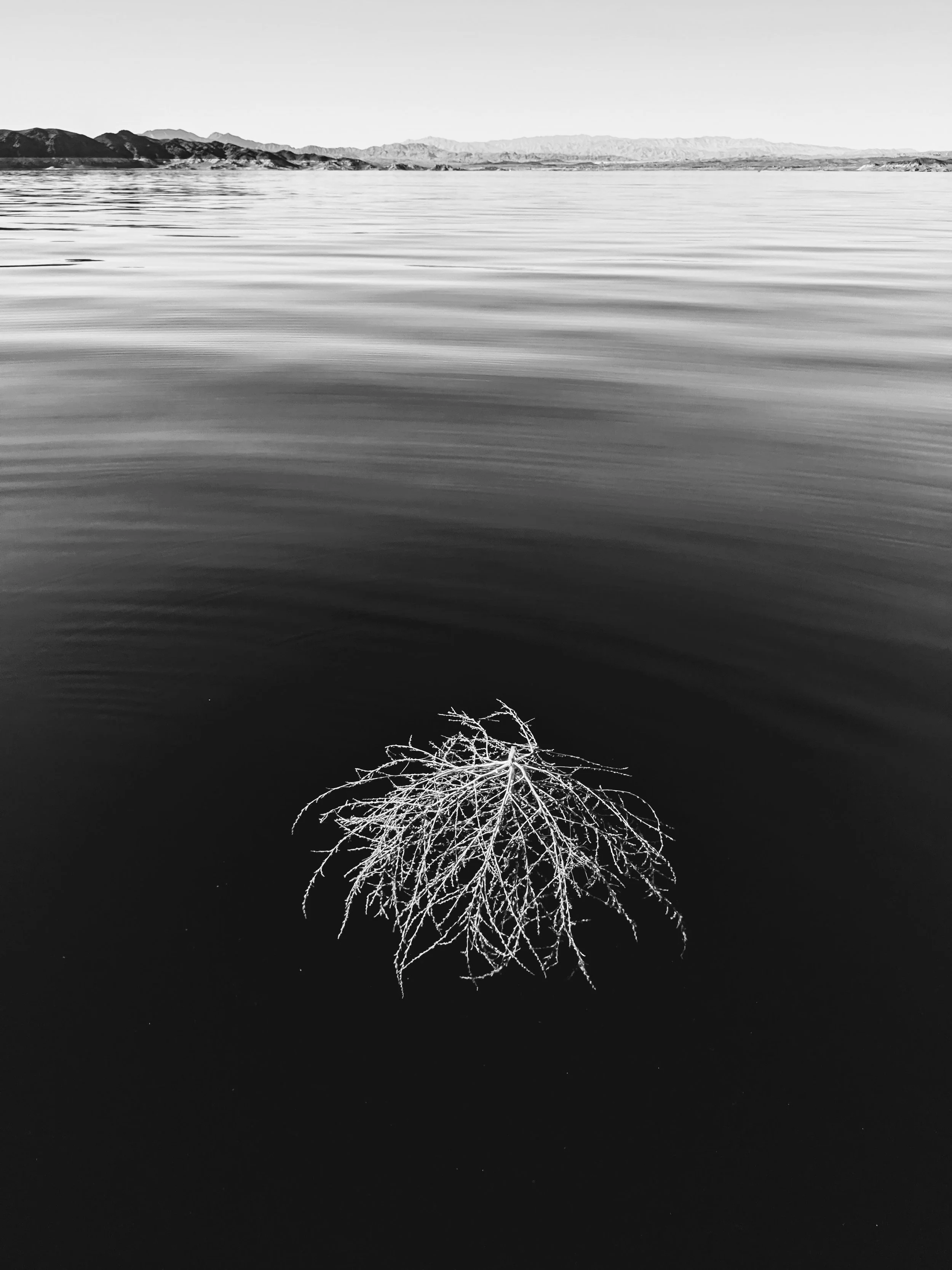 Composition - Geoff Rhodes (35).jpg