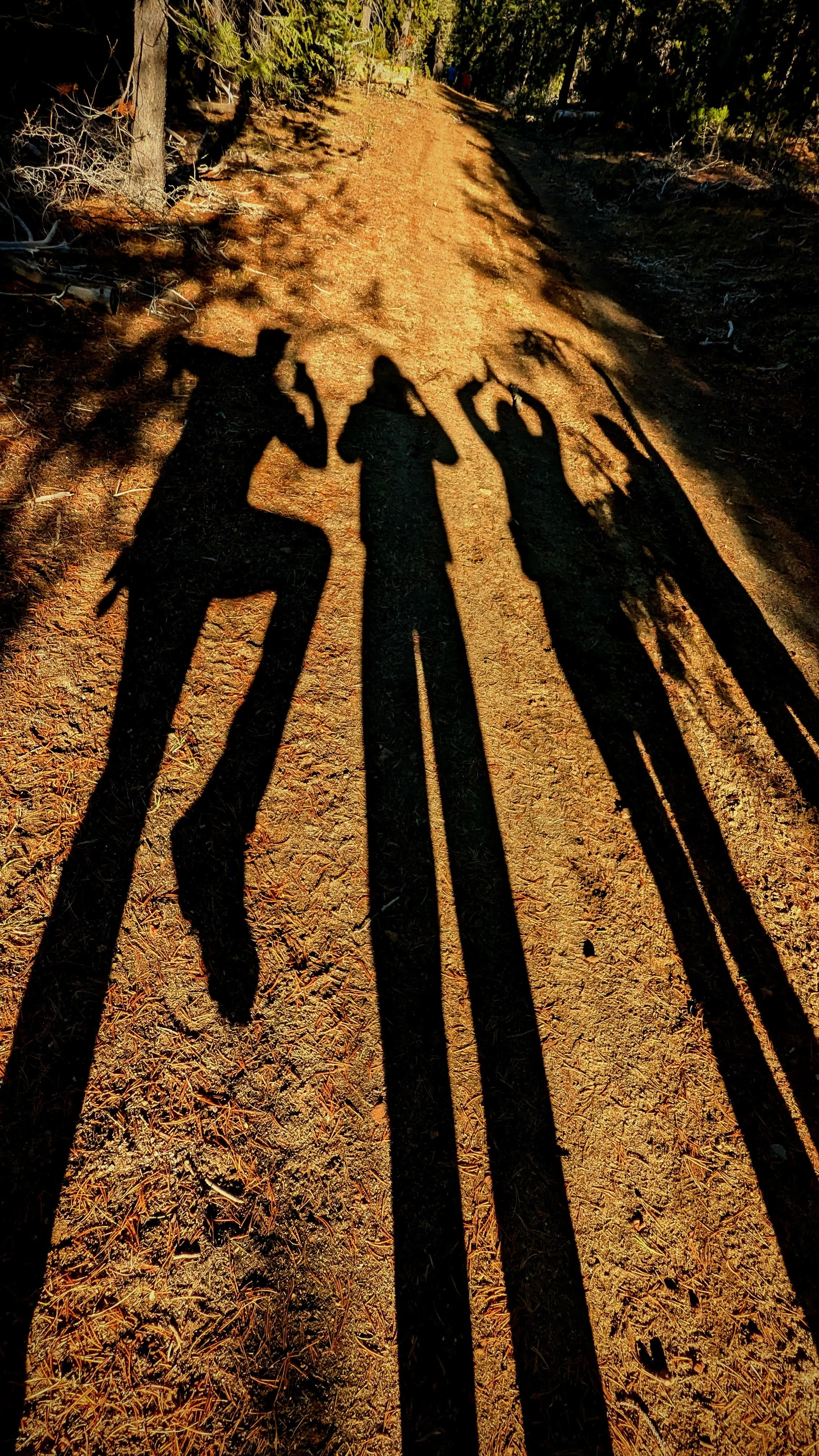 Shadow Games - v2 - Geoff Rhodes (19).jpg