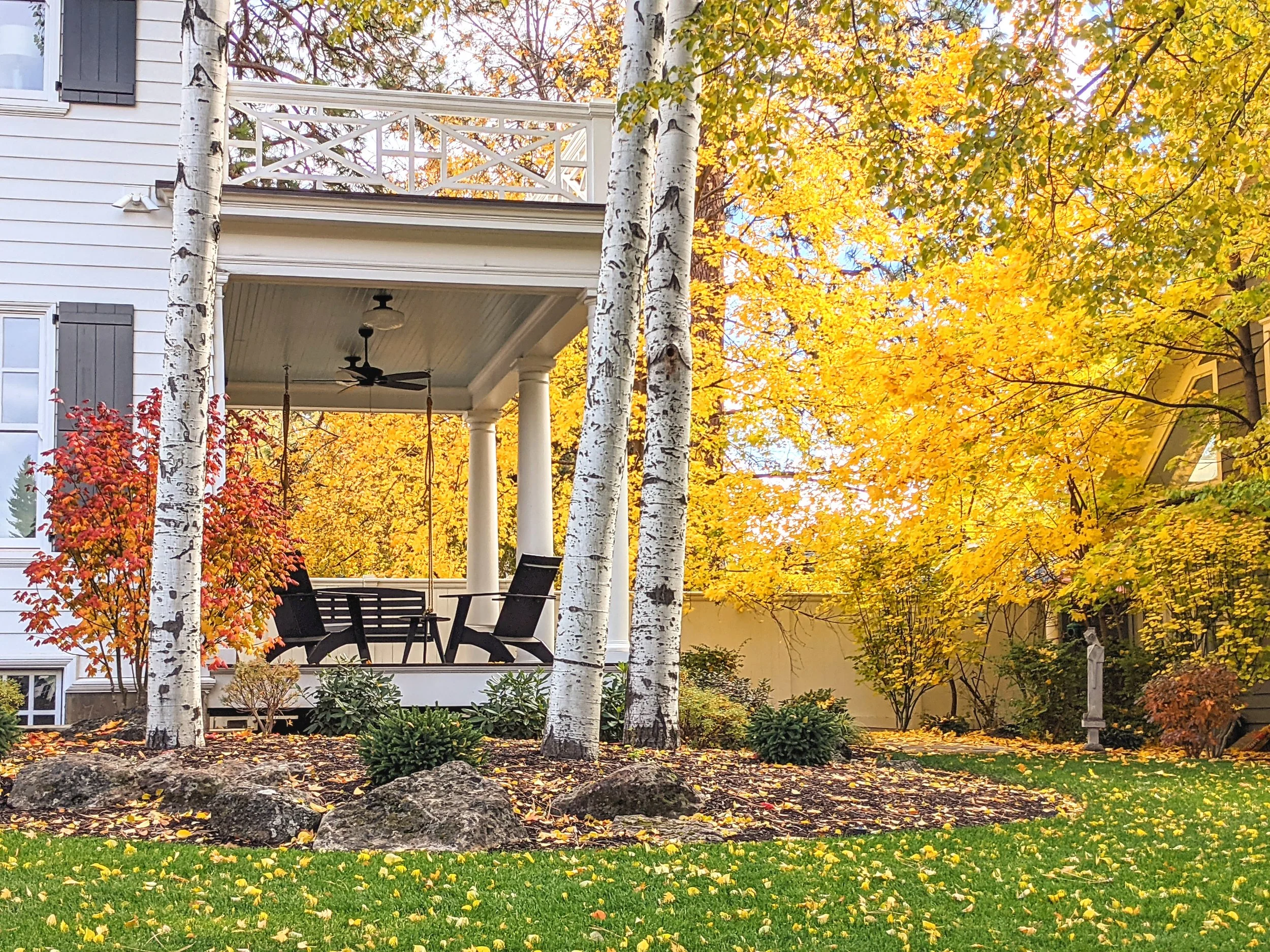 Flora - Yellow - Geoff Rhodes (10).jpg