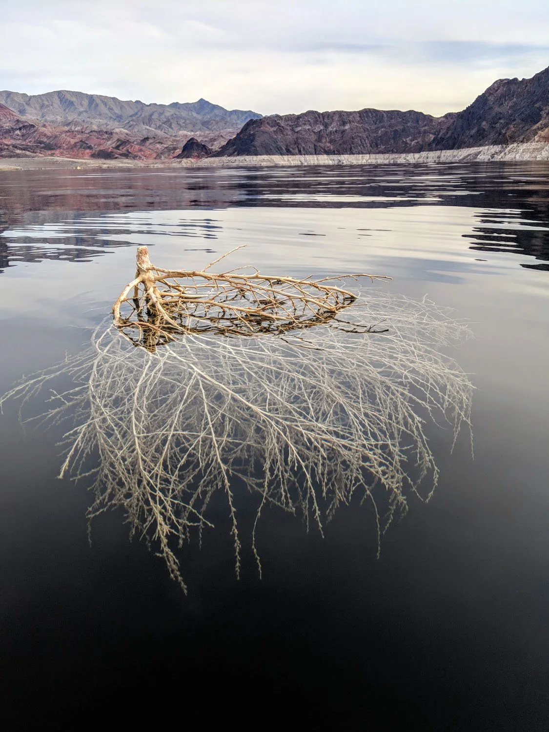 The World Around Me - Geoff Rhodes  (11).jpg