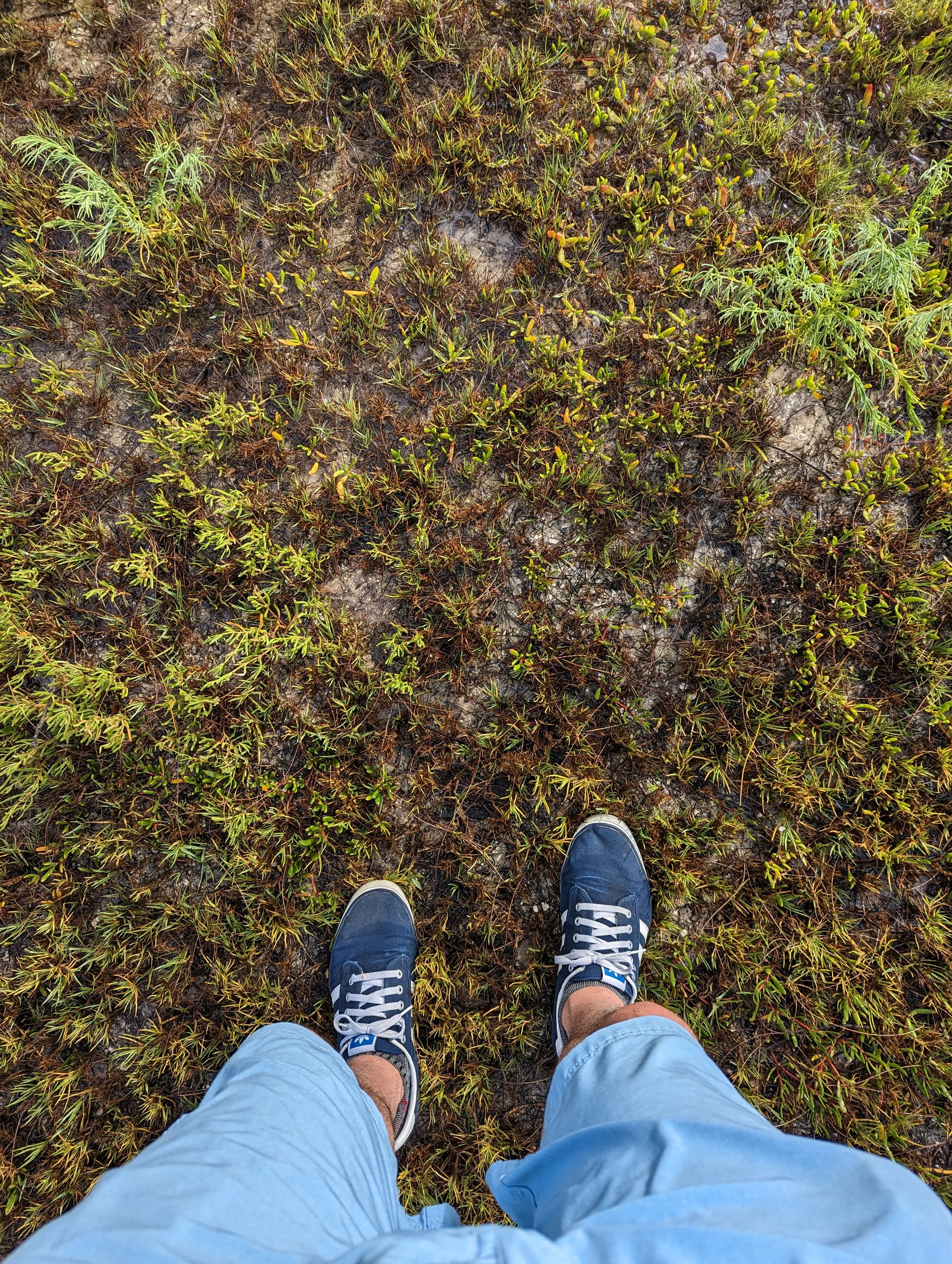 Tale of Two Soles - Geoff Rhodes - 2023 (3).jpg