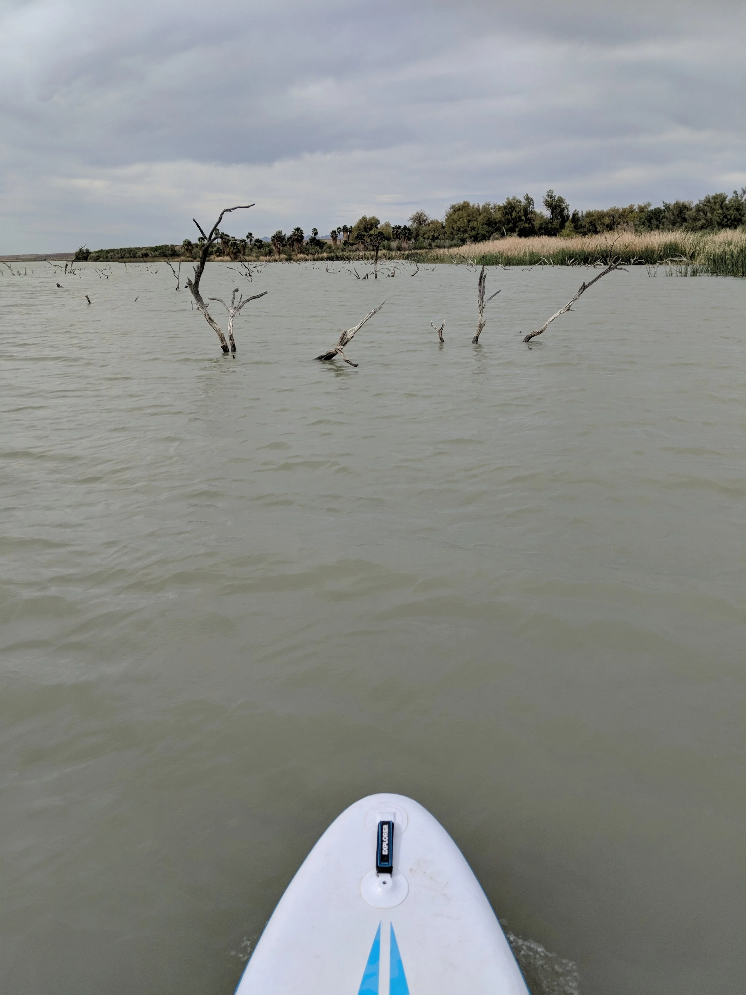 Just the Tip - SUP - Red (8).jpg