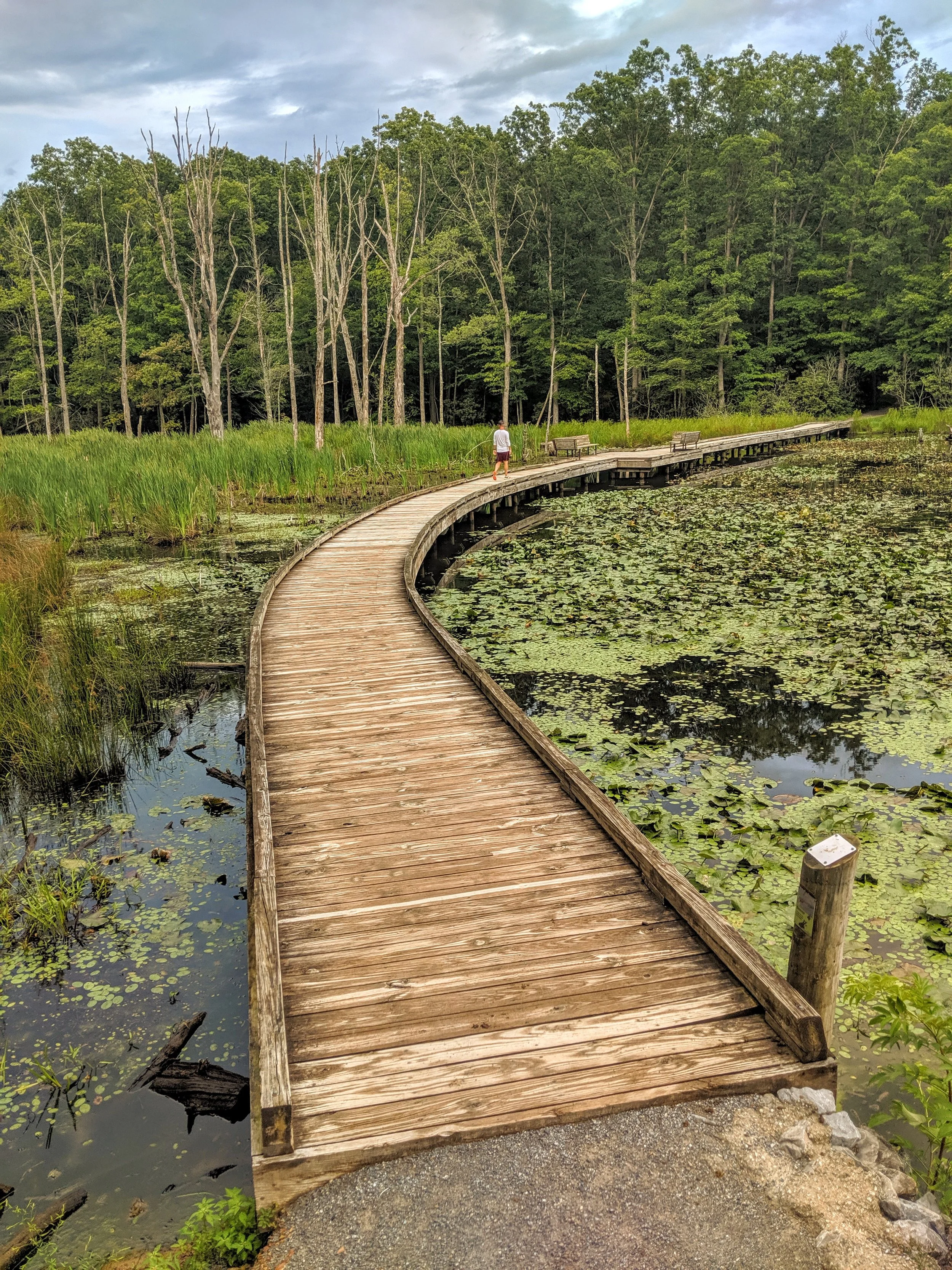 Path to Enlightenment - Geoff Rhodes (11).jpg