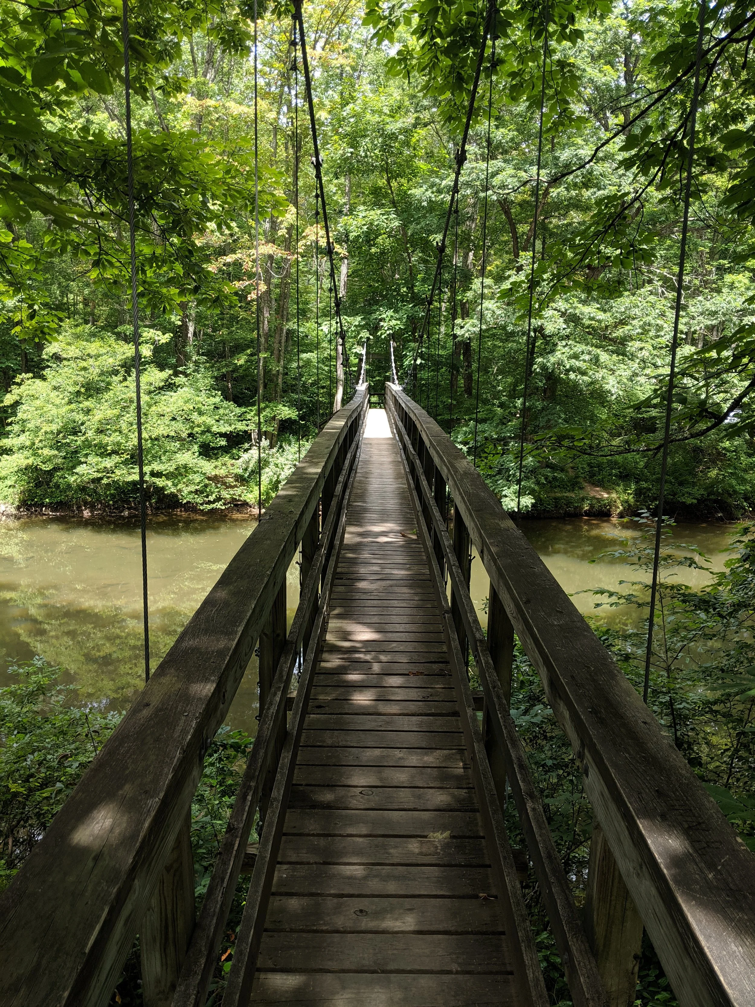 Path to Enlightenment - Geoff Rhodes (8).jpg