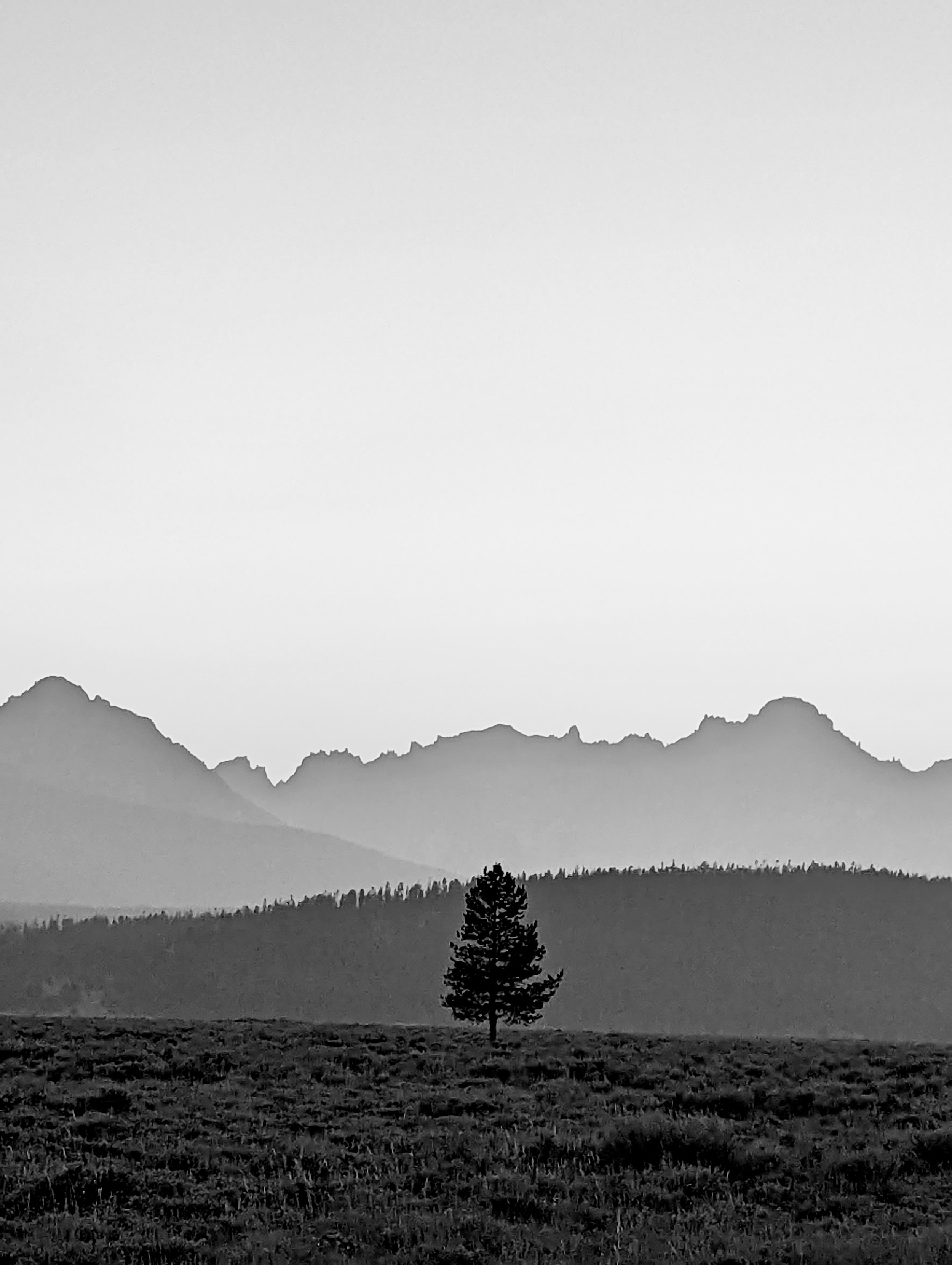 Composition - Geoff Rhodes (65).jpg