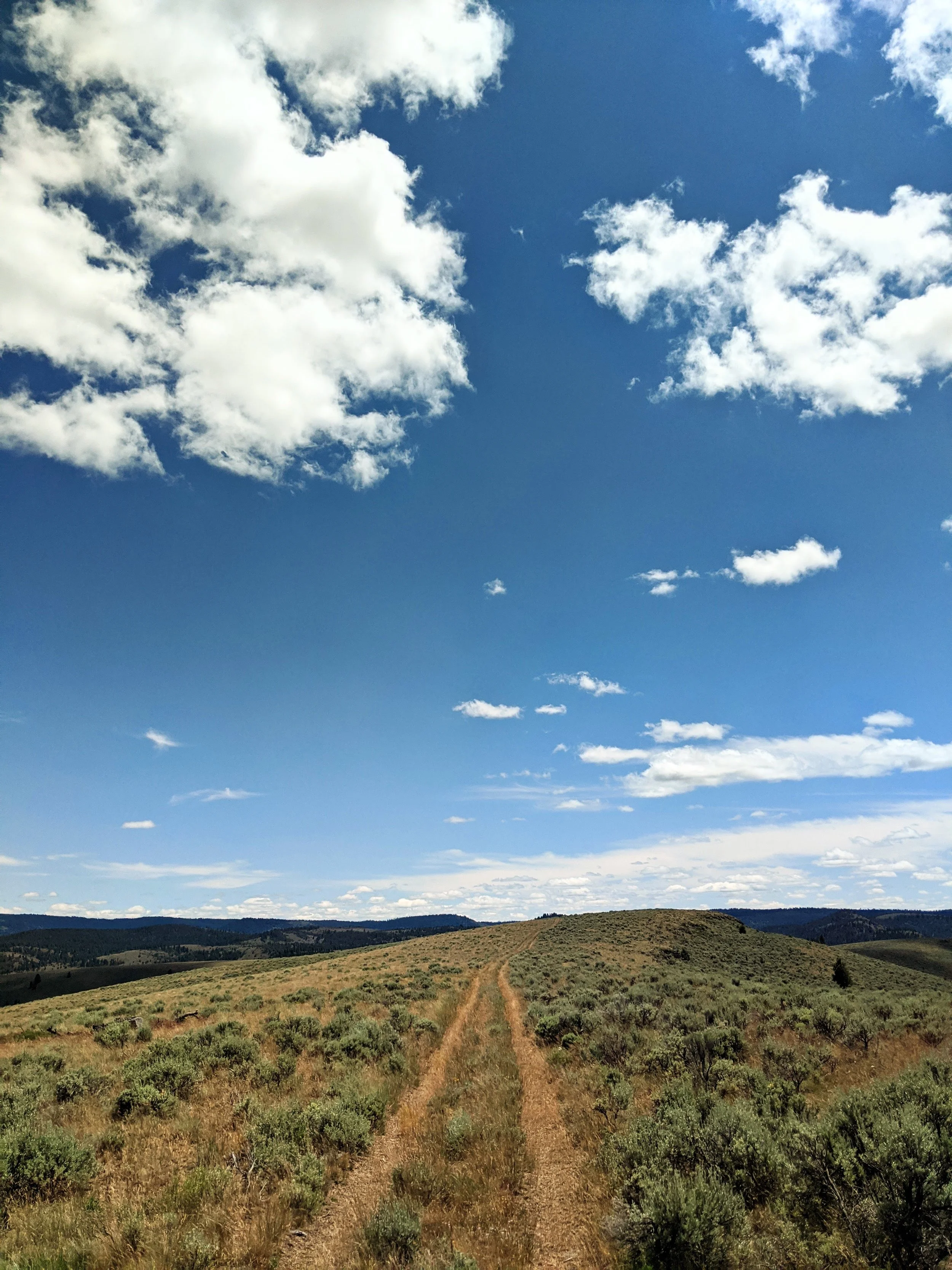 Life on the Road - Geoff Rhodes (15).jpg