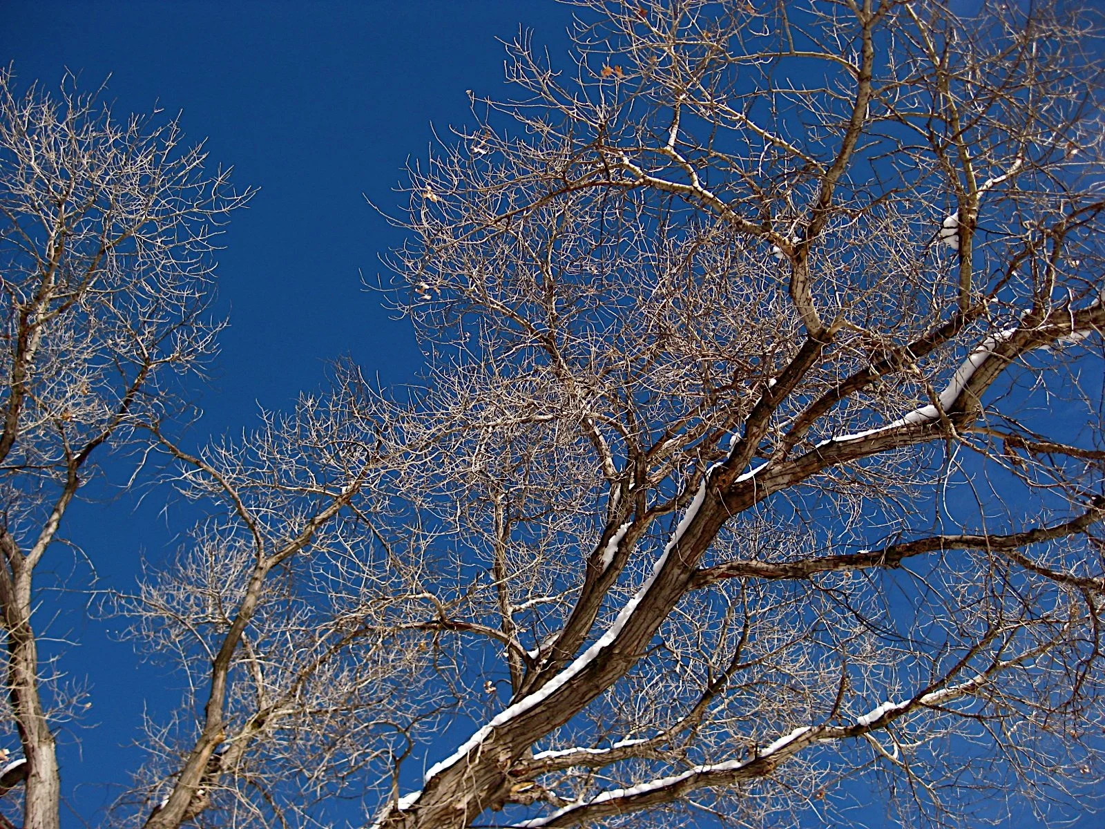 Composition - porfolio - Geoff Rhodes.JPG