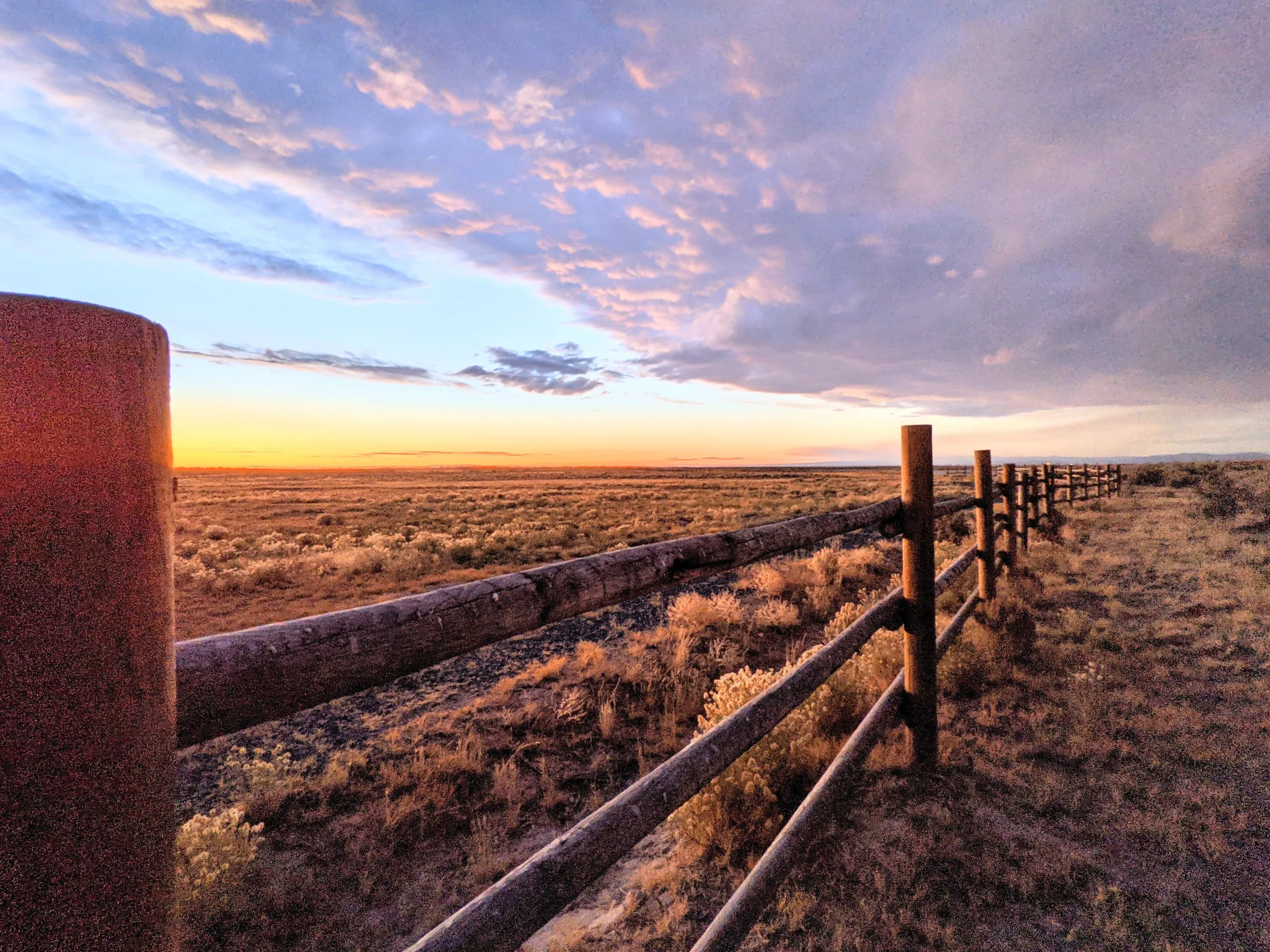 Fence Post Porn - Geoff Rhodes (32).jpg