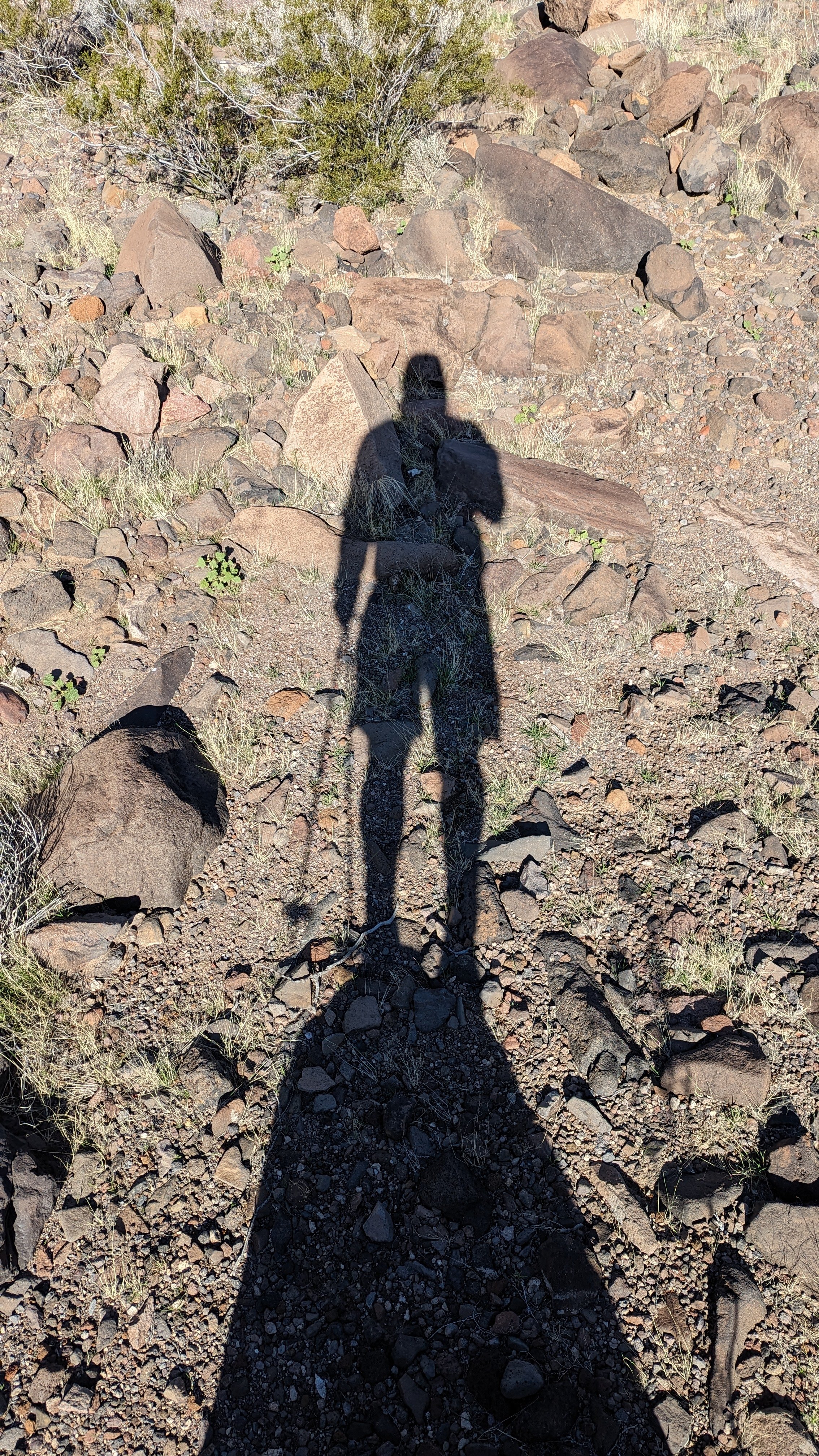 Shadow Games - v2 - Geoff Rhodes (11).jpg