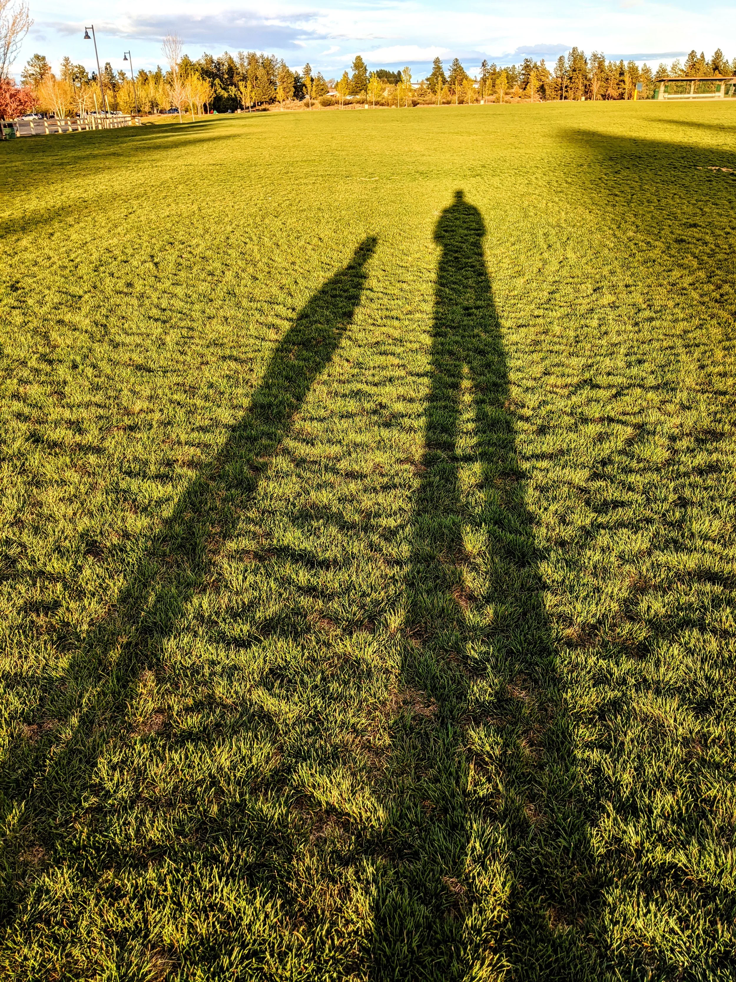 Shadow Games - Geoff Rhodes (30).jpg