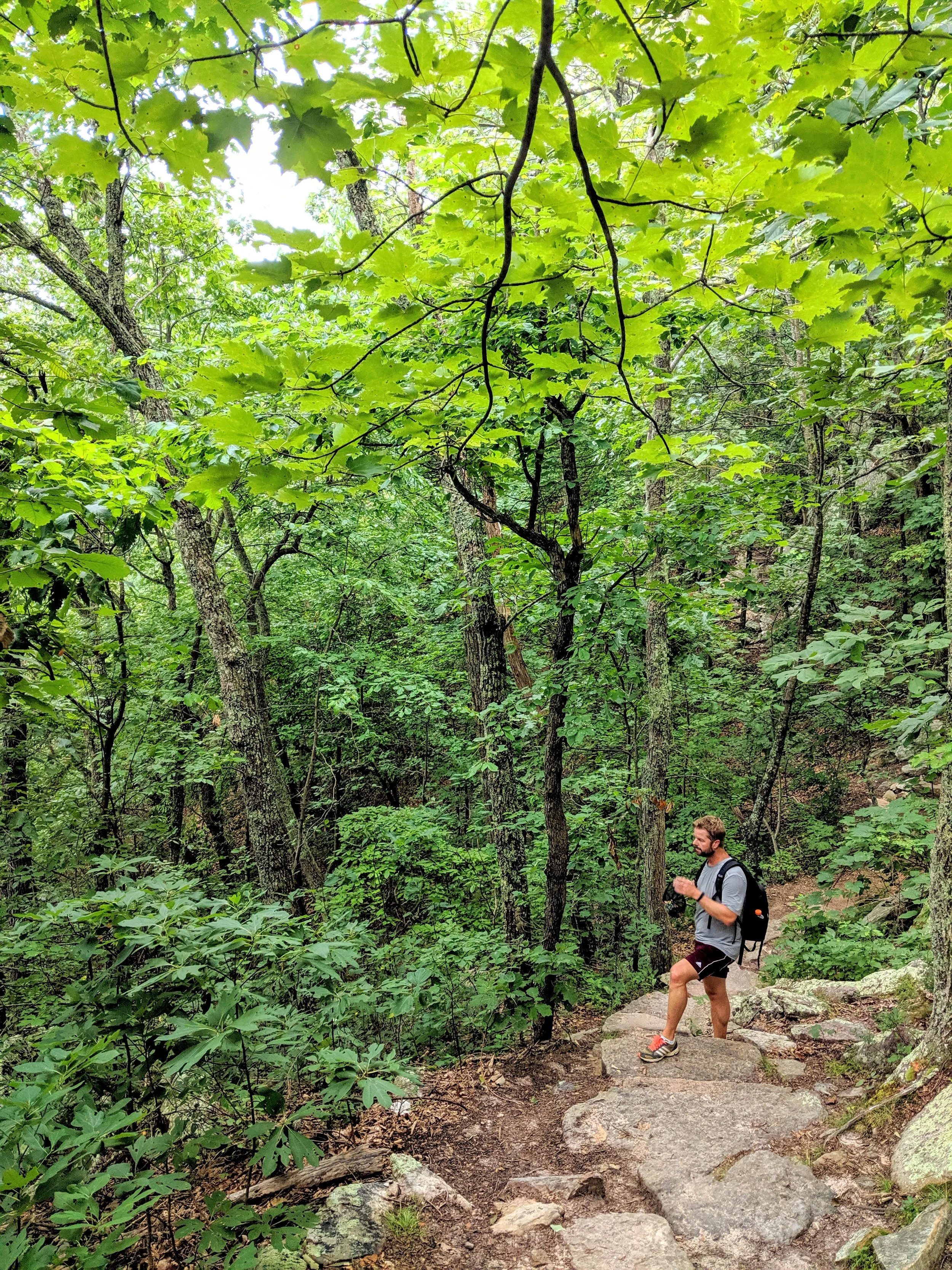 Path to Enlightenment - Geoff Rhodes (10).jpg