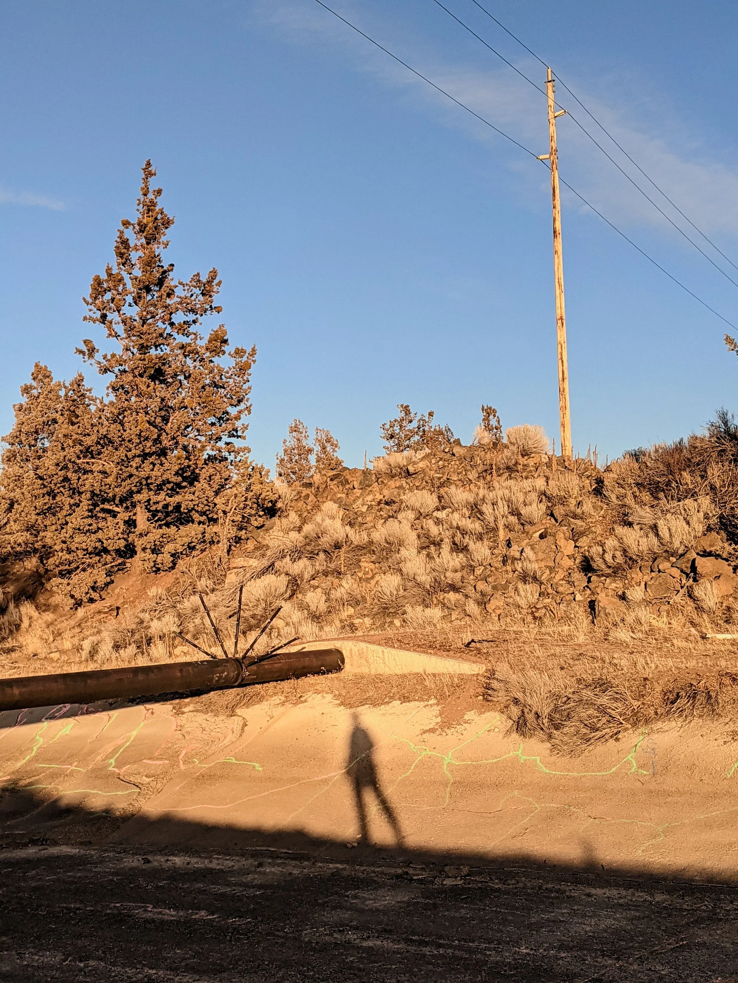 Shadow Games - Geoff Rhodes (49).jpg