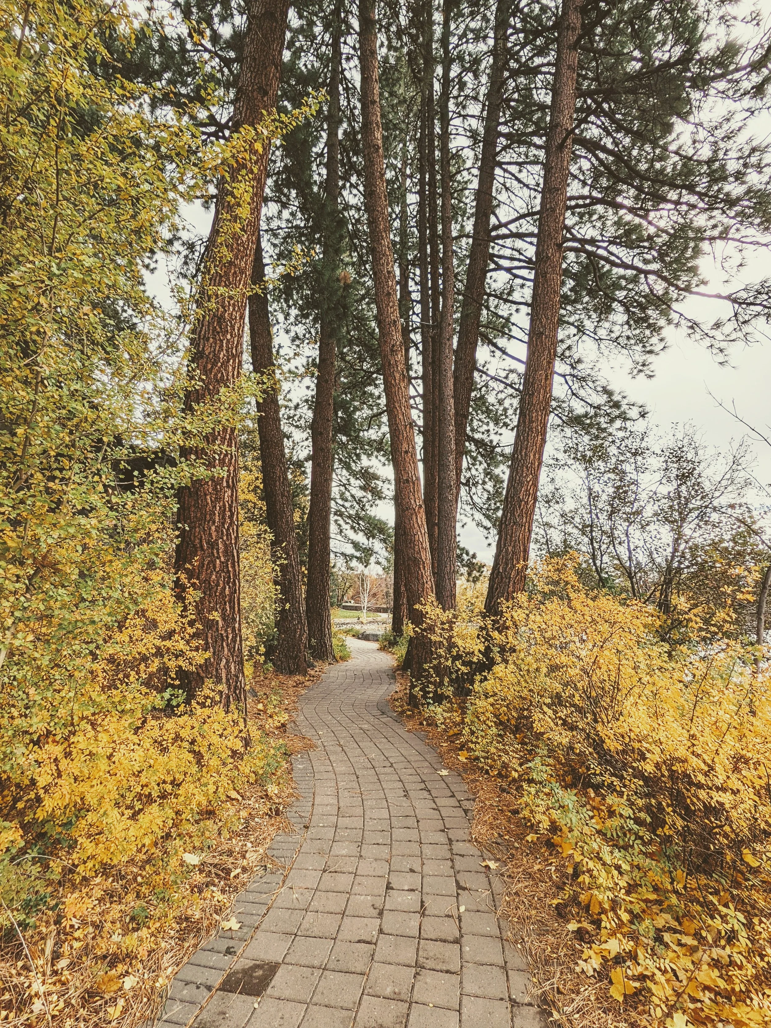 Path to Enlightenment - Geoff Rhodes (22).jpg