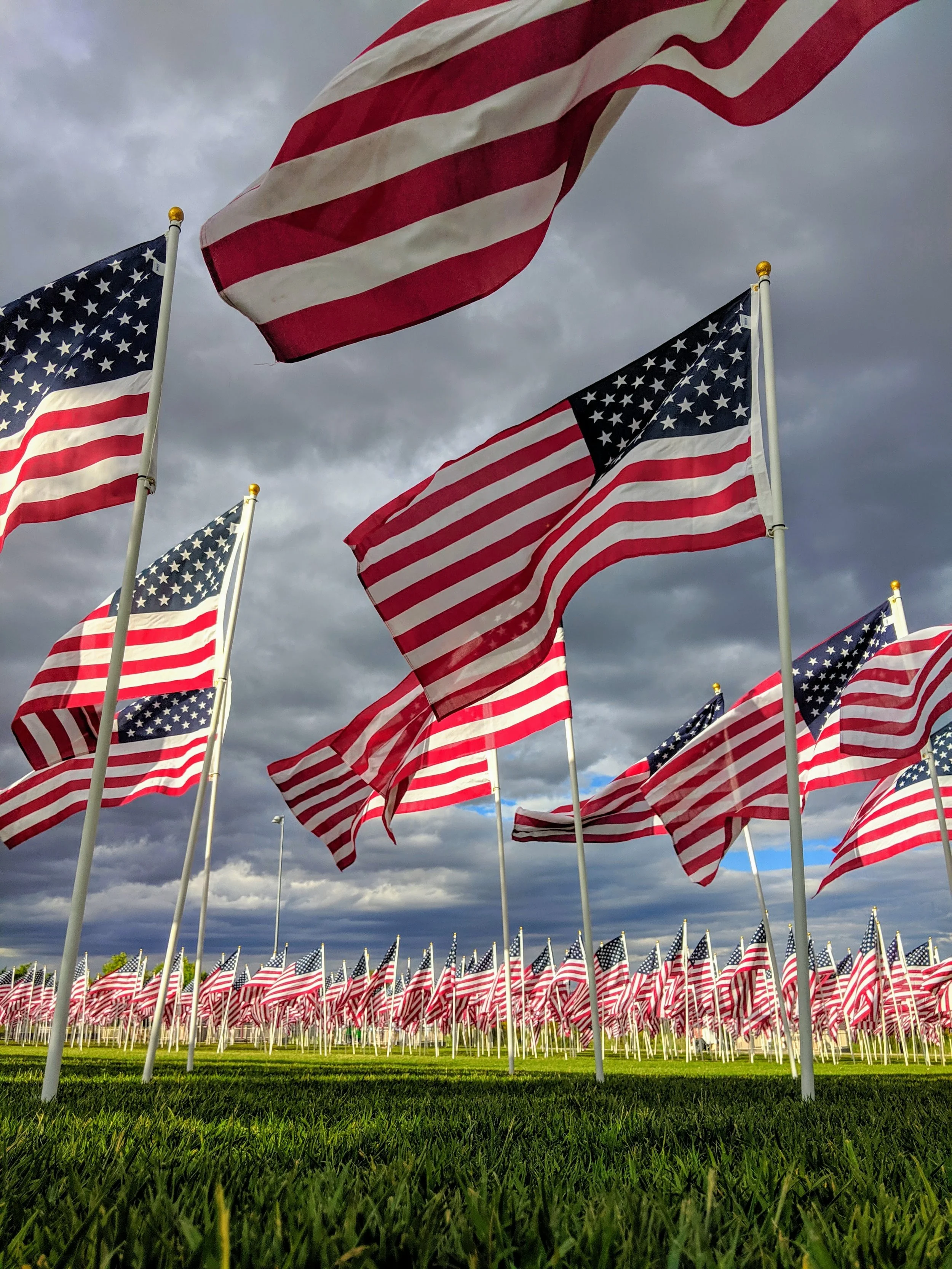 The World Around Me - Geoff Rhodes  (28).jpg