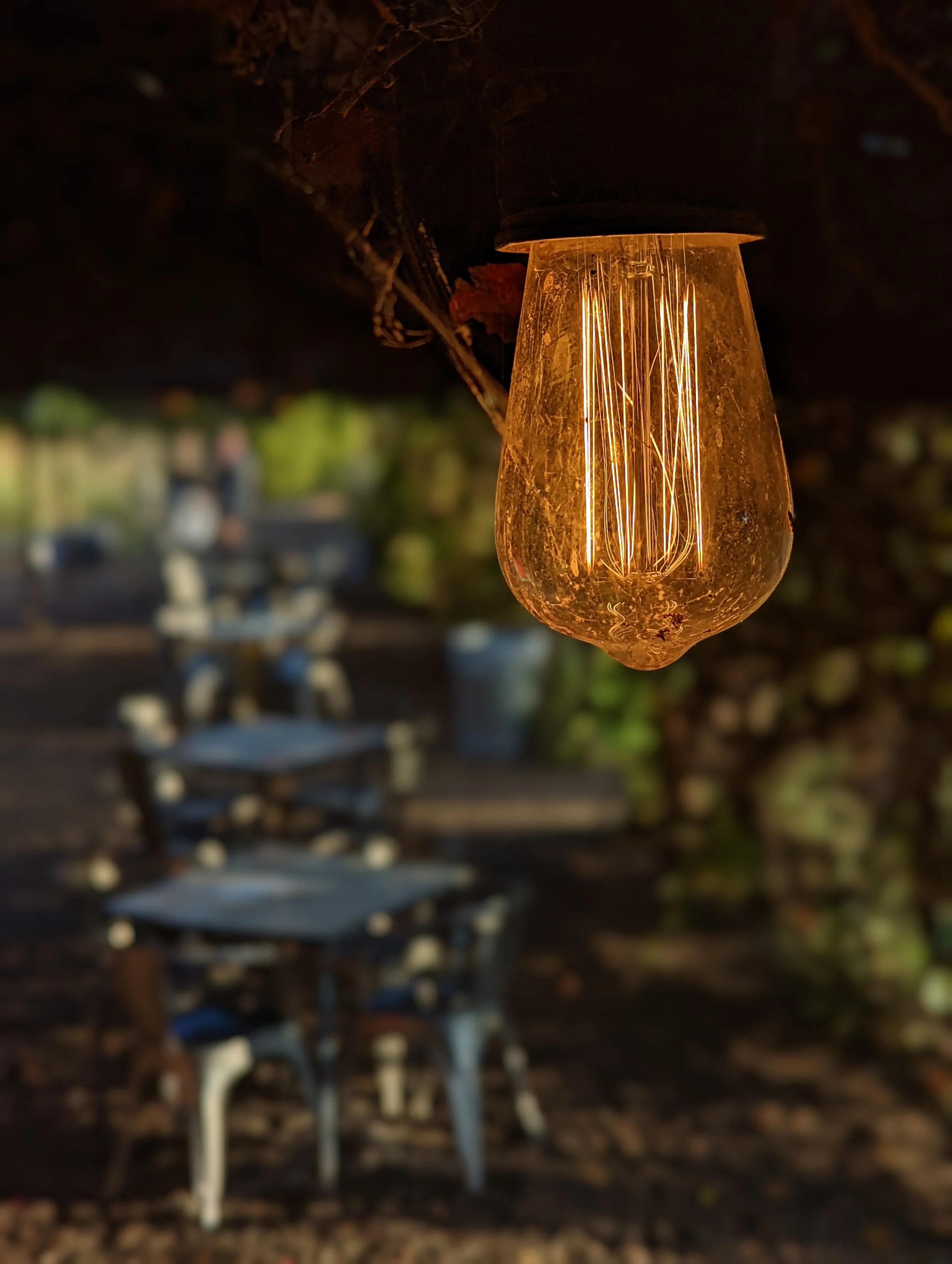 The World Around Me - Geoff Rhodes  (33).jpg