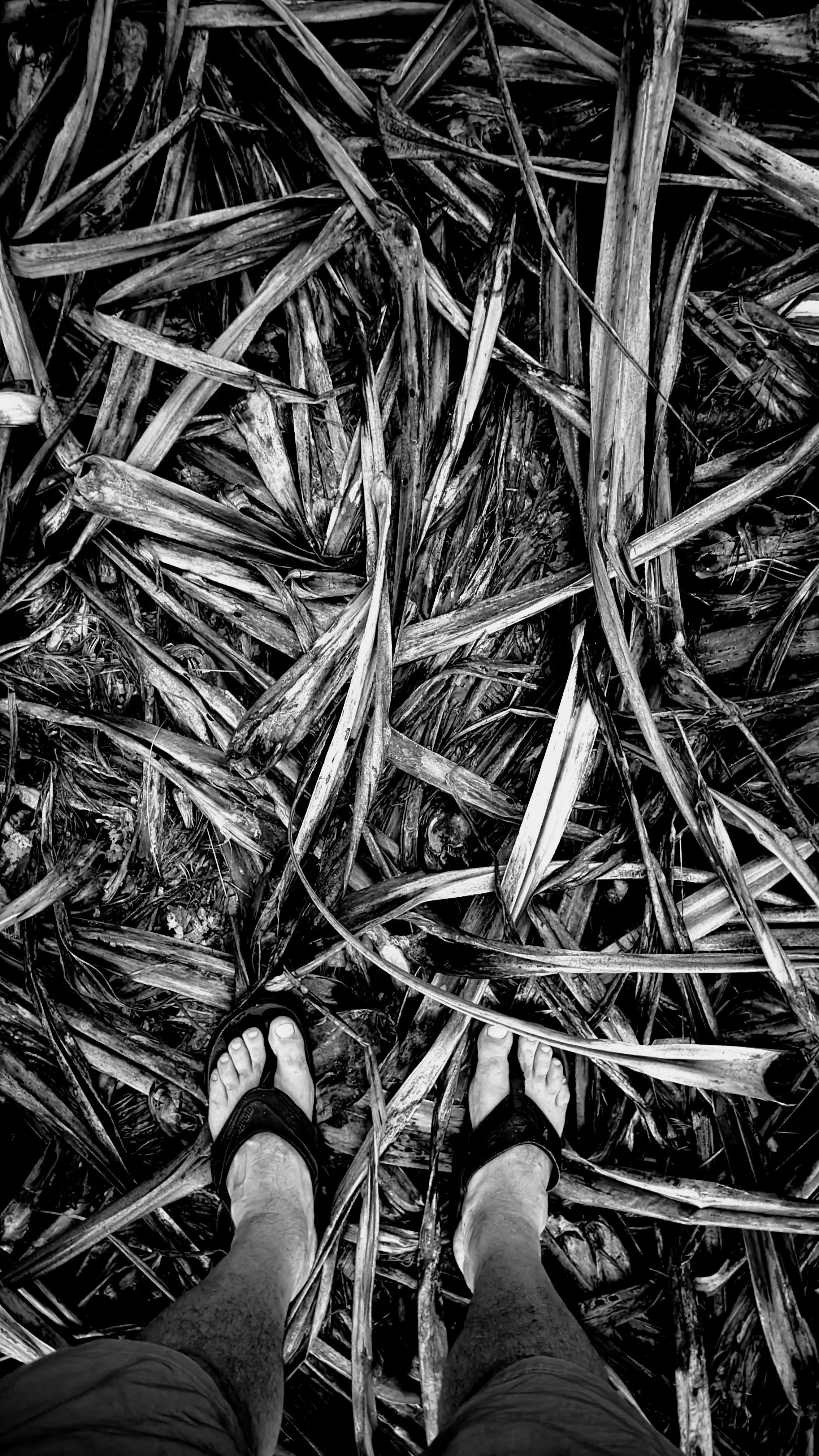 Hawaii - Geoff Rhodes - Ridgeline Creative (20).jpg