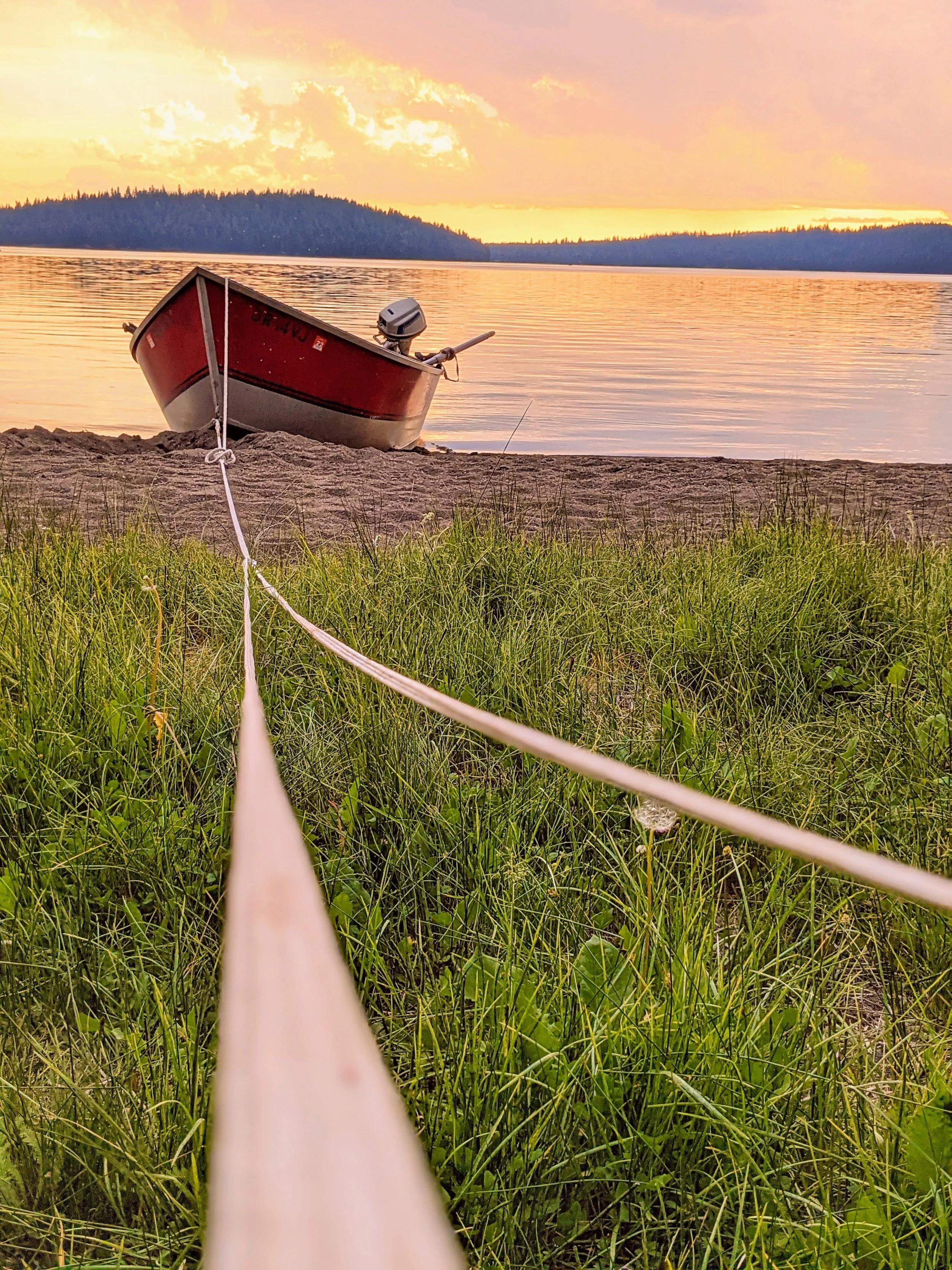 The World Around Me - Geoff Rhodes  (15).jpg