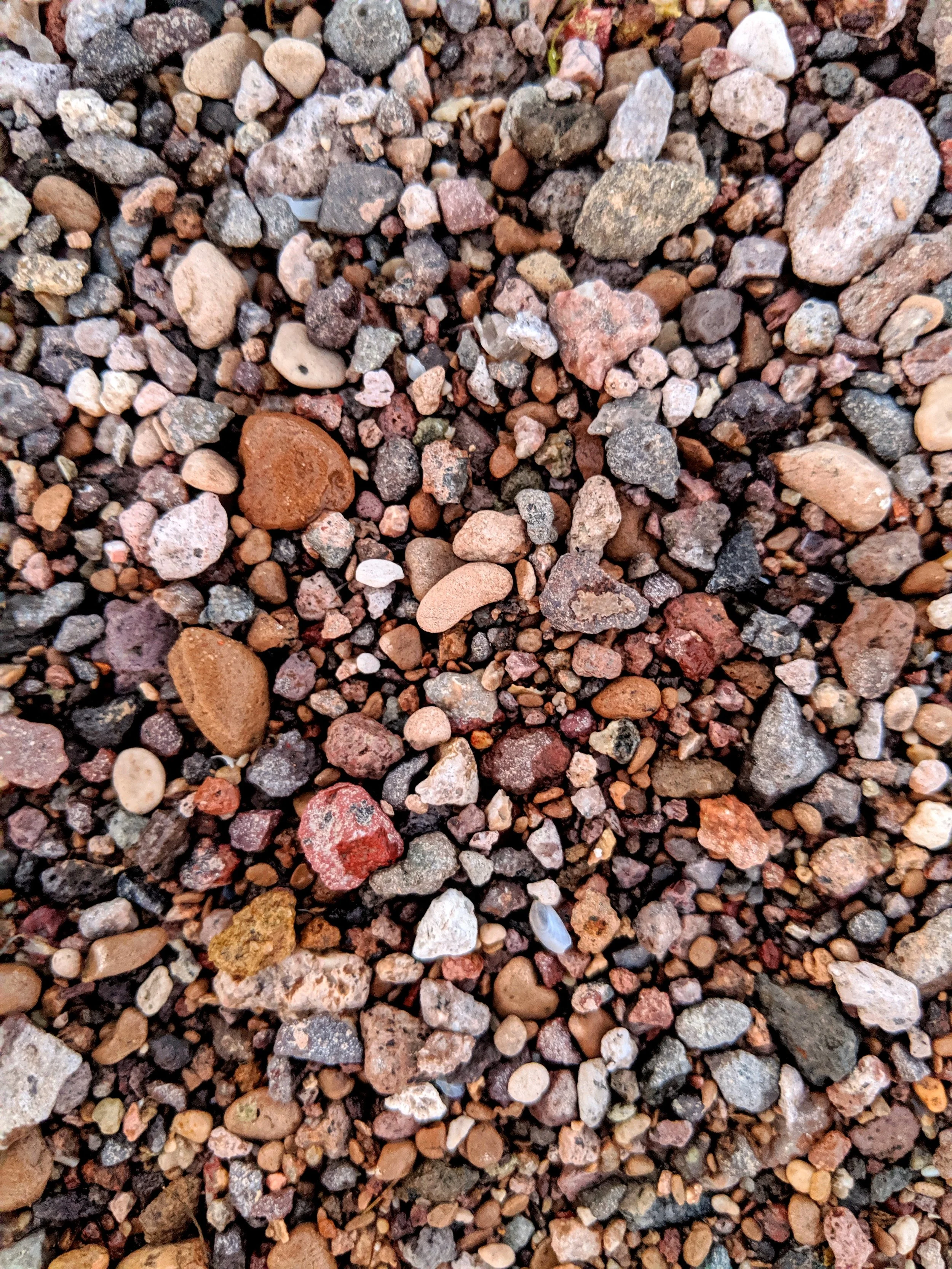 The World Around Me - Geoff Rhodes  (55).jpg