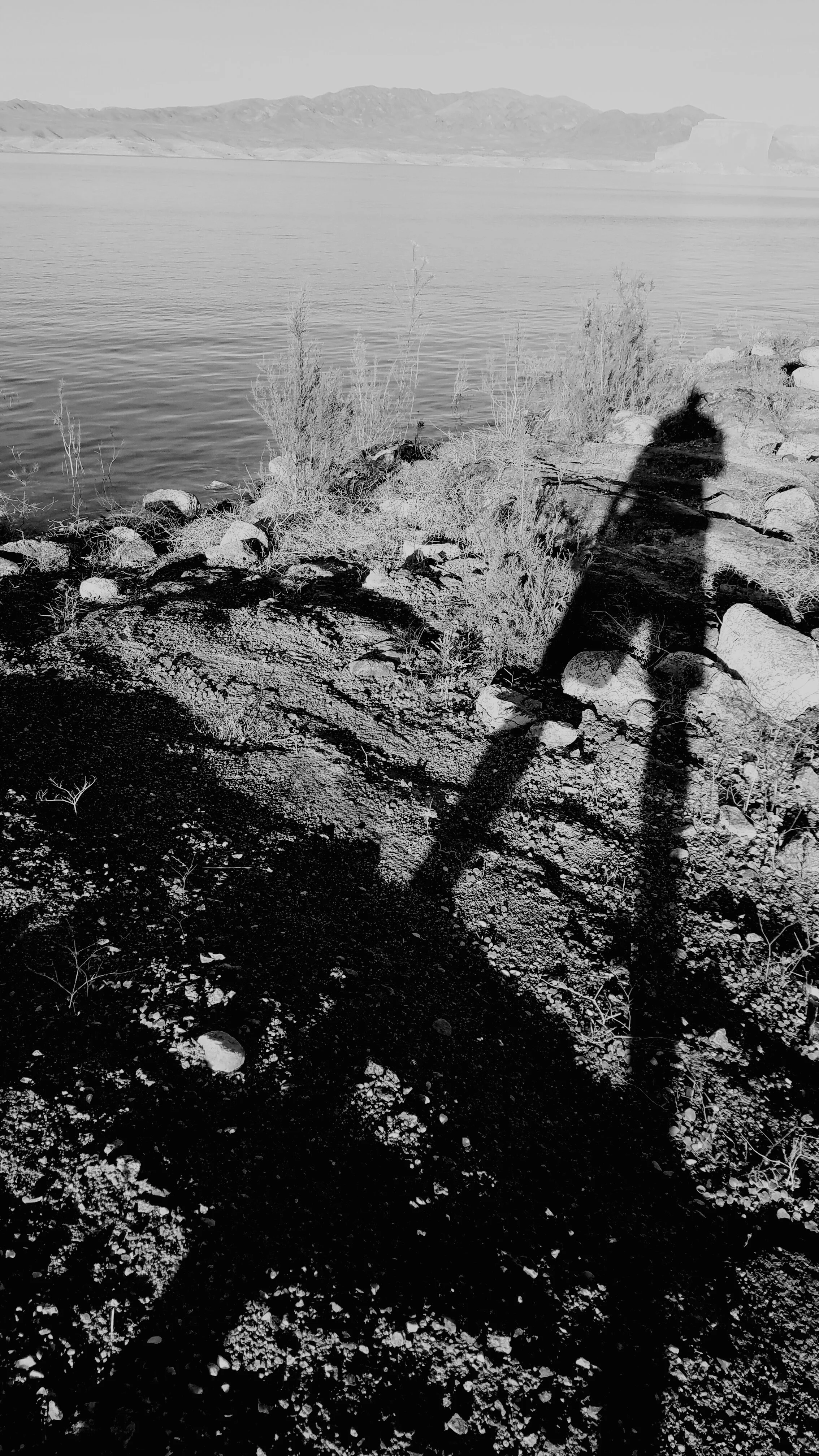 Shadow Games - Geoff Rhodes (4).jpg