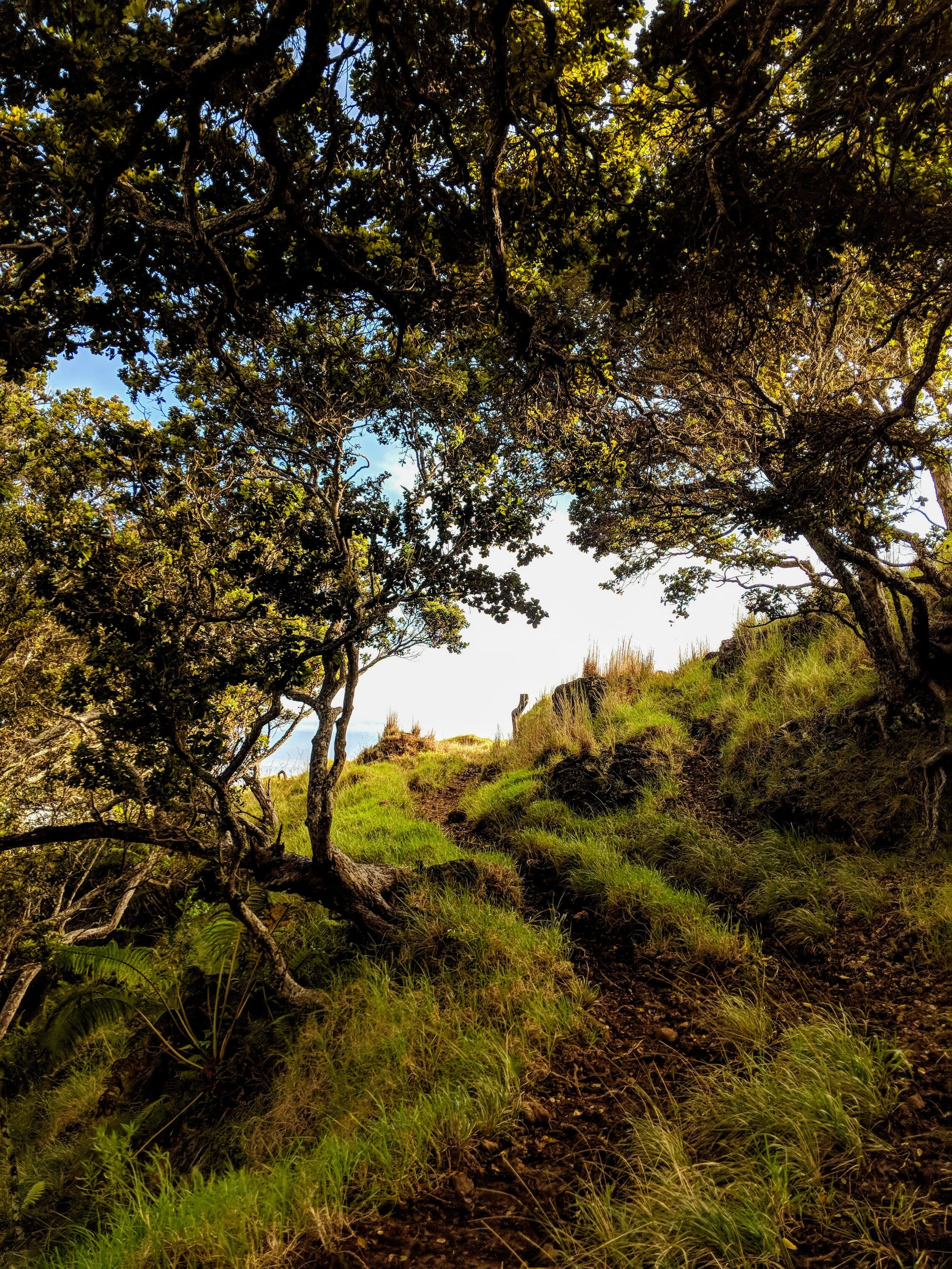 Path to Enlightenment - Geoff Rhodes (4).jpg