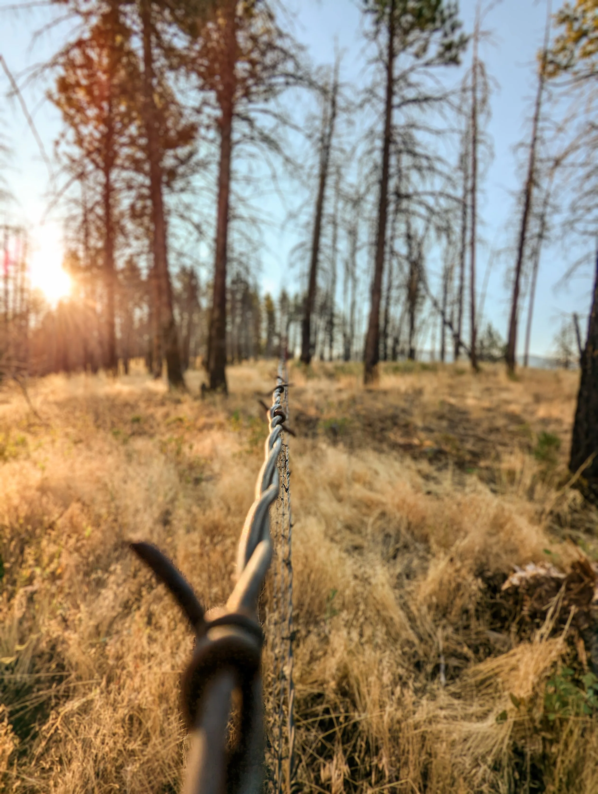 Fence Post Porn - Geoff Rhodes (40).jpg