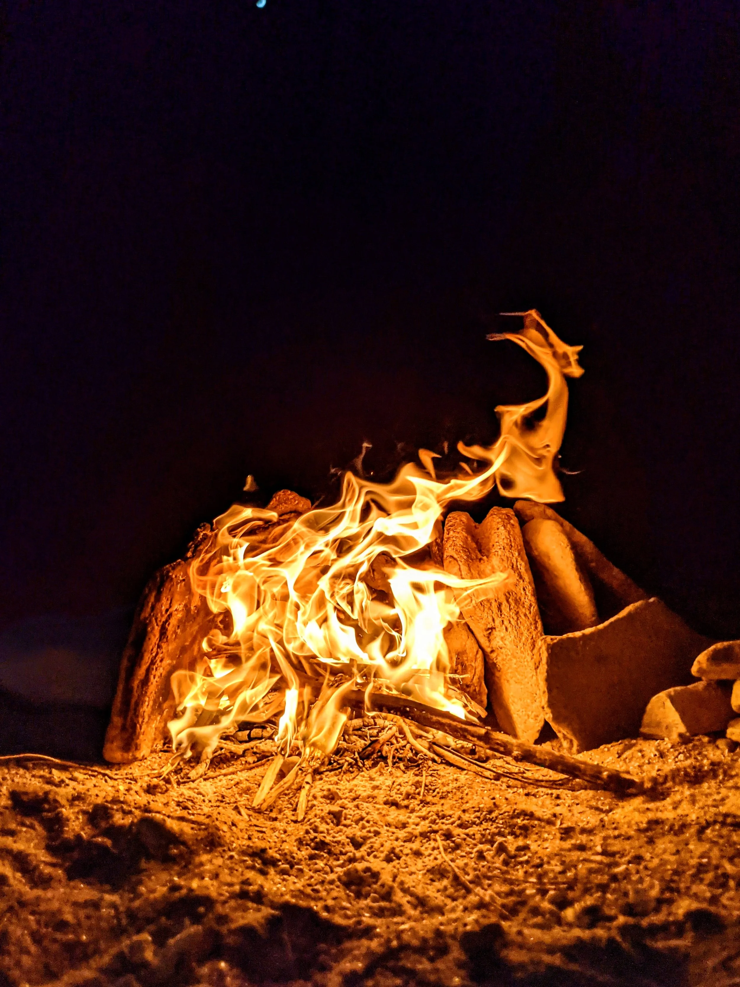 The World Around Me - Geoff Rhodes  (72).jpg