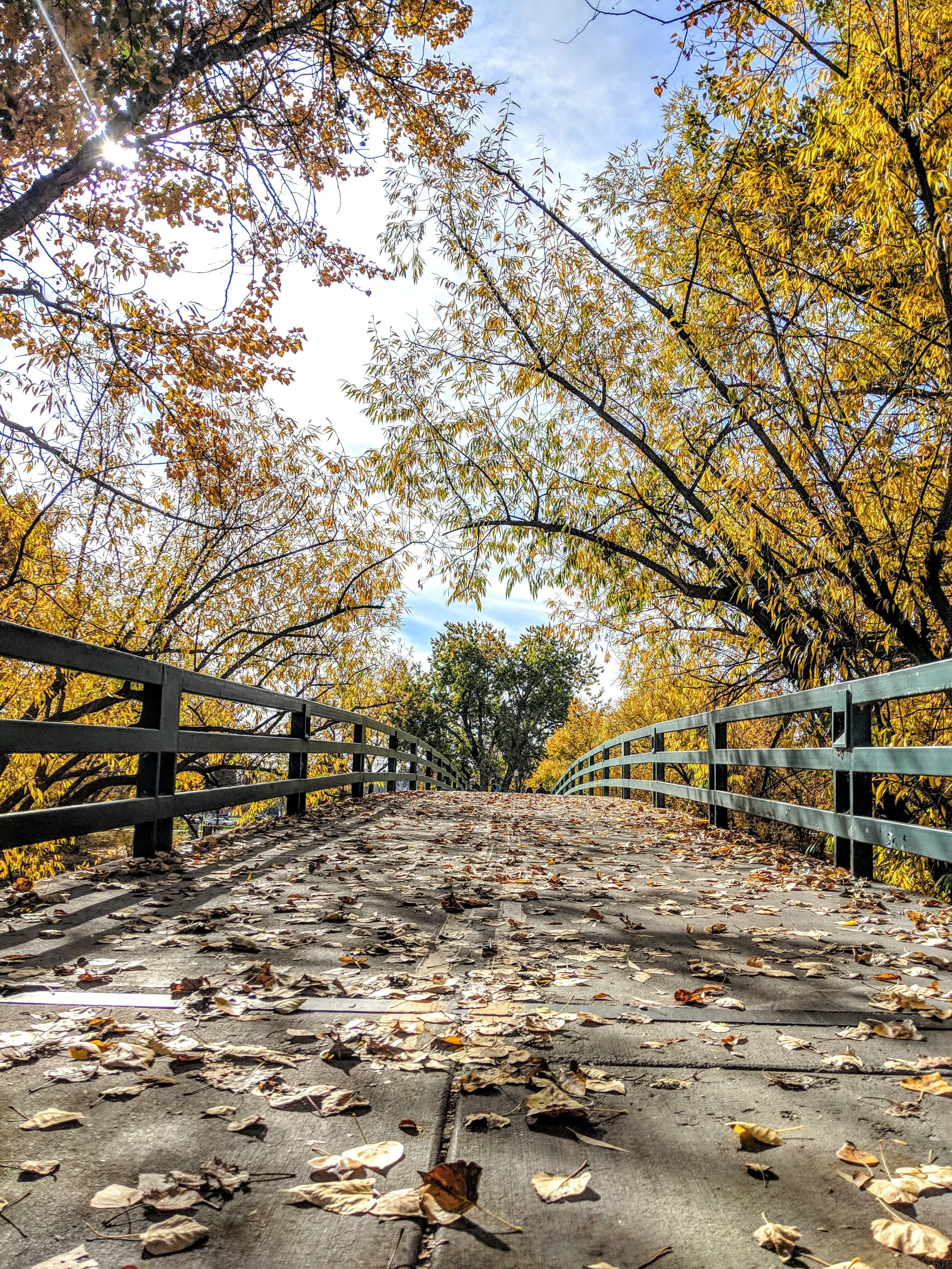 Path to Enlightenment - Geoff Rhodes (5).jpg