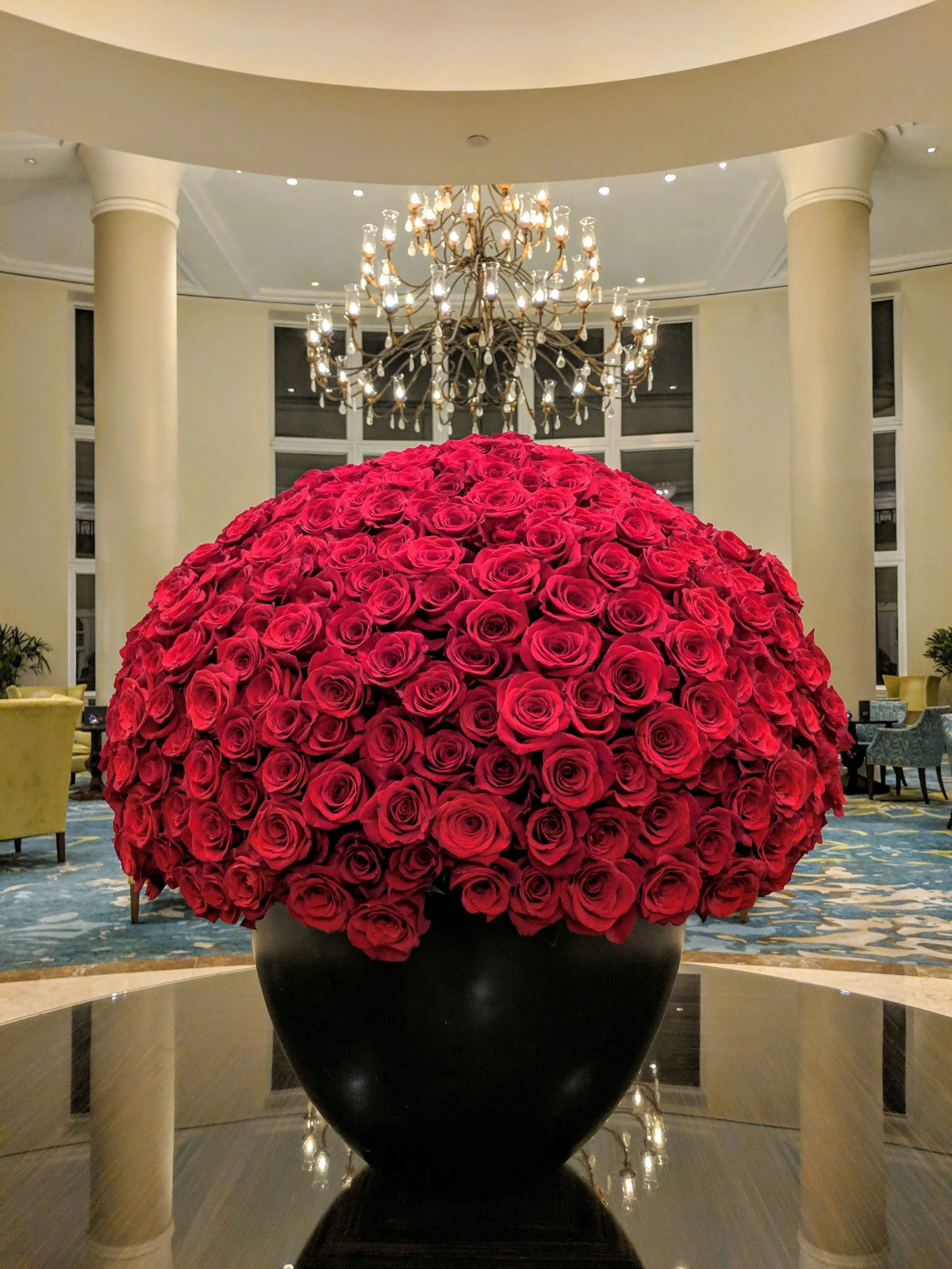 Flora - Pink - Geoff Rhodes (4).jpg