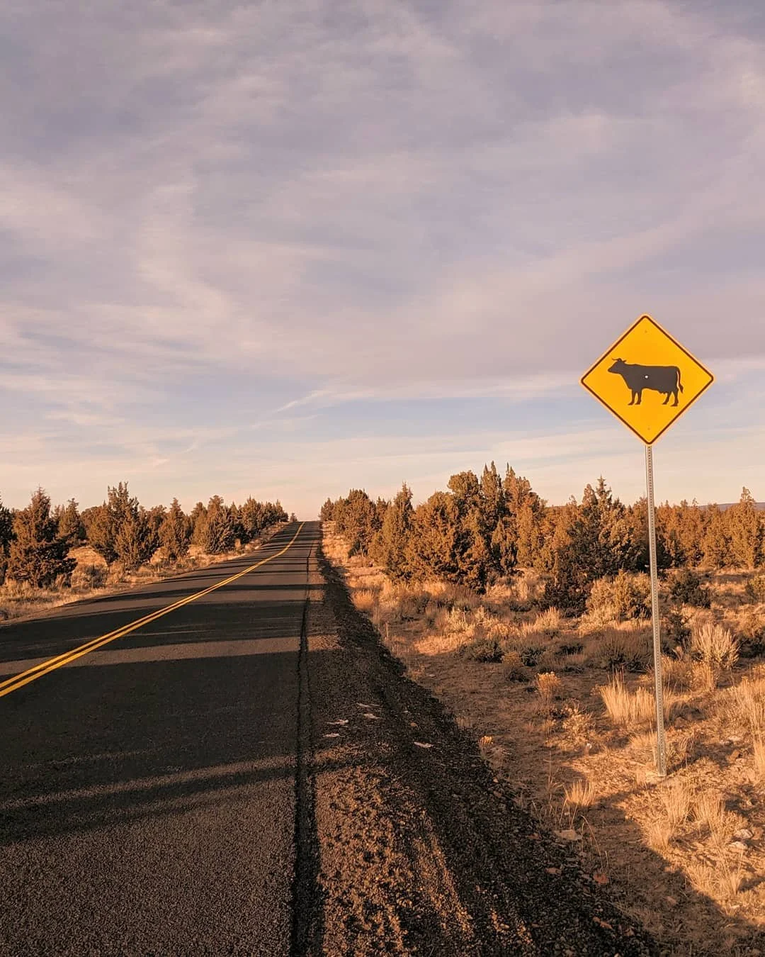 Life on the Road - Geoff Rhodes (15).jpg